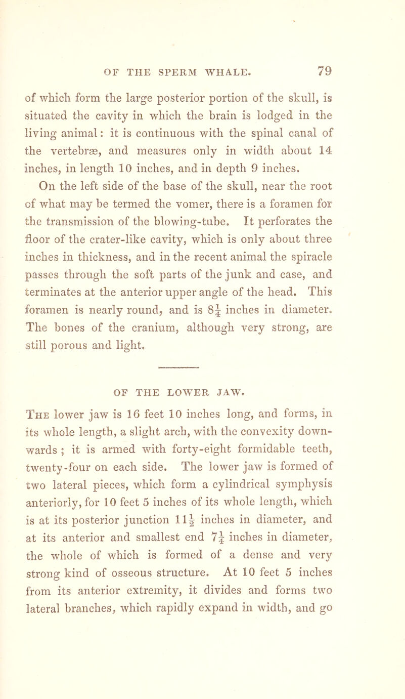 of which form the large posterior portion of the skull, is situated the cavity in which the brain is lodged in the living animal: it is continuous with the spinal canal of the vertebrae, and measures only in width about 14 inches, in length 10 inches, and in depth 9 inches. On the left side of the base of the skull, near the root of what may be termed the vomer, there is a foramen for the transmission of the blowing-tube. It perforates the floor of the crater-like cavity, which is only about three inches in thickness, and in the recent animal the spiracle passes through the soft parts of the junk and case, and terminates at the anterior upper angle of the head. This foramen is nearly round, and is 8| inches in diameter. The bones of the cranium, although very strong, are still porous and light. OF THE LOWER JAW. The lower jaw is 16 feet 10 inches long, and forms, in its whole length, a slight arch, with the convexity down- wards ; it is armed with forty-eight formidable teeth, twenty-four on each side. The lower jaw is formed of two lateral pieces, which form a cylindrical symphysis anteriorly, for 10 feet 5 inches of its whole length, which is at its posterior junction 11| inches in diameter, and at its anterior and smallest end inches in diameter, the whole of which is formed of a dense and very strong kind of osseous structure. At 10 feet 5 inches from its anterior extremity, it divides and forms two lateral branches, which rapidly expand in width, and go