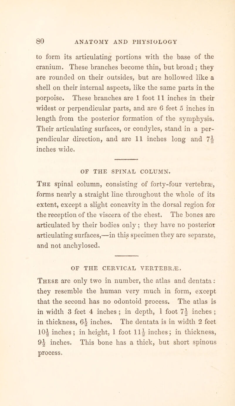 to form its articulating portions with the base of the cranium. These branches become thin, but broad; they are rounded on their outsides, but are hollowed like a shell on their internal aspects, like the same parts in the porpoise. These branches are 1 foot 11 inches in their widest or perpendicular parts, and are 6 feet 5 inches in length from the posterior formation of the symphysis. Their articulating surfaces, or condyles, stand in a per- pendicular direction, and are 11 inches long and 7J inches wide. OF THE SPINAL COLUMN. The spinal column, consisting of forty-four vertebrm, forms nearly a straight line throughout the whole of its extent, except a slight concavity in the dorsal region for the reception of the viscera of the chest. The bones are articulated by their bodies only ; they have no posterior articulating surfaces,—in this specimen they are separate, and not anchylosed. OF THE CERVICAL VERTEBRA, These are only two in number, the atlas and dentata: they resemble the human very much in form, except that the second has no odontoid process. The atlas is in width 3 feet 4 inches ; in depth, 1 foot 7^ inches ; in thickness, inches. The dentata is in width 2 feet lOJ inches; in height, 1 foot 11J inches; in thickness, 9| inches. This bone has a thick, but short spinous process.