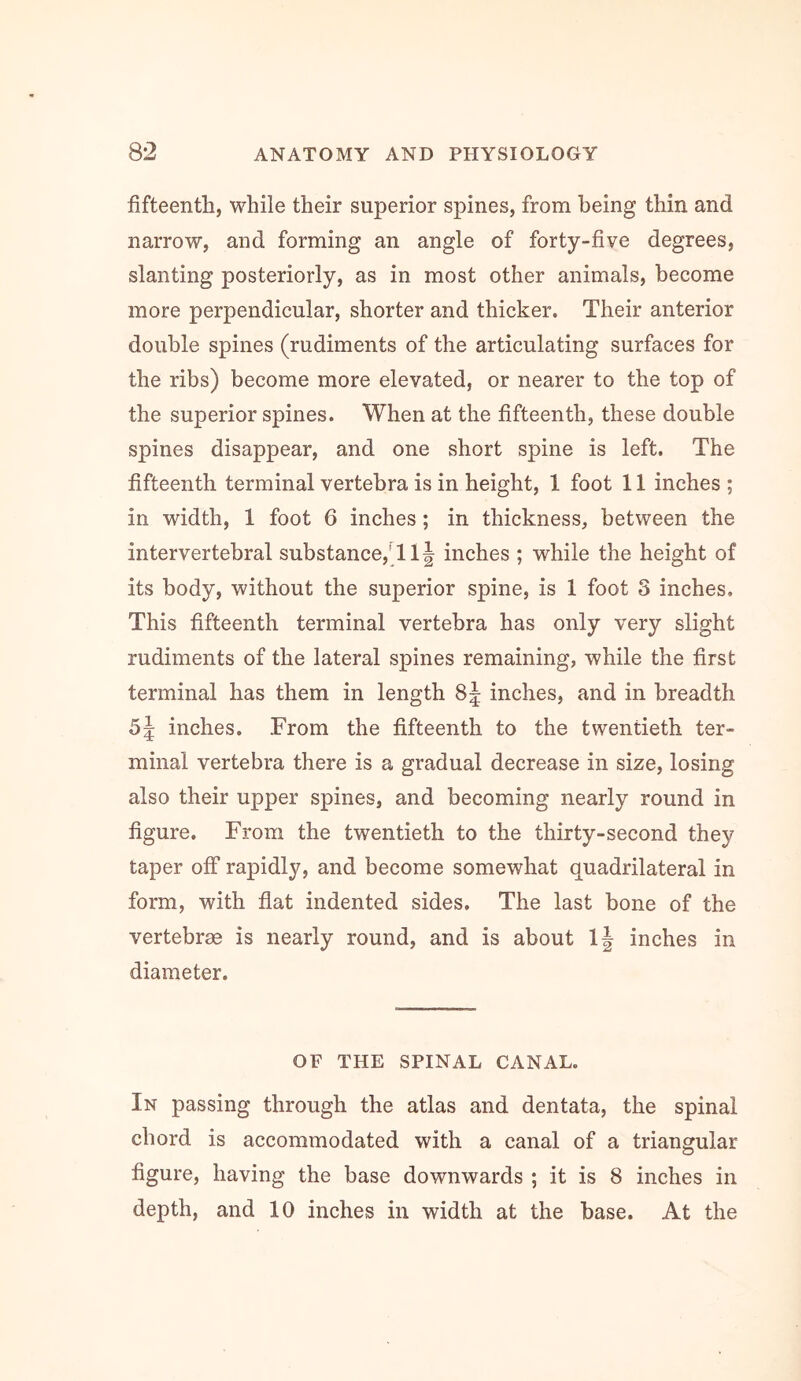 fifteenth, while their superior spines, from being thin and narrow, and forming an angle of forty-five degrees, slanting posteriorly, as in most other animals, become more perpendicular, shorter and thicker. Their anterior double spines (rudiments of the articulating surfaces for the ribs) become more elevated, or nearer to the top of the superior spines. When at the fifteenth, these double spines disappear, and one short spine is left. The fifteenth terminal vertebra is in height, 1 foot 11 inches ; in width, 1 foot 6 inches; in thickness, between the intervertebral substance,'!!J inches ; while the height of its body, without the superior spine, is ! foot 3 inches. This fifteenth terminal vertebra has only very slight rudiments of the lateral spines remaining, while the first terminal has them in length 8j inches, and in breadth Sj inches. From the fifteenth to the twentieth ter- minal vertebra there is a gradual decrease in size, losing also their upper spines, and becoming nearly round in figure. From the twentieth to the thirty-second they taper off rapidly, and become somewhat quadrilateral in form, with flat indented sides. The last bone of the vertebrae is nearly round, and is about !j inches in diameter. OF THE SPINAL CANAL. In passing through the atlas and dentata, the spinal chord is accommodated with a canal of a triangular figure, having the base downwards ; it is 8 inches in depth, and !0 inches in width at the base. At the