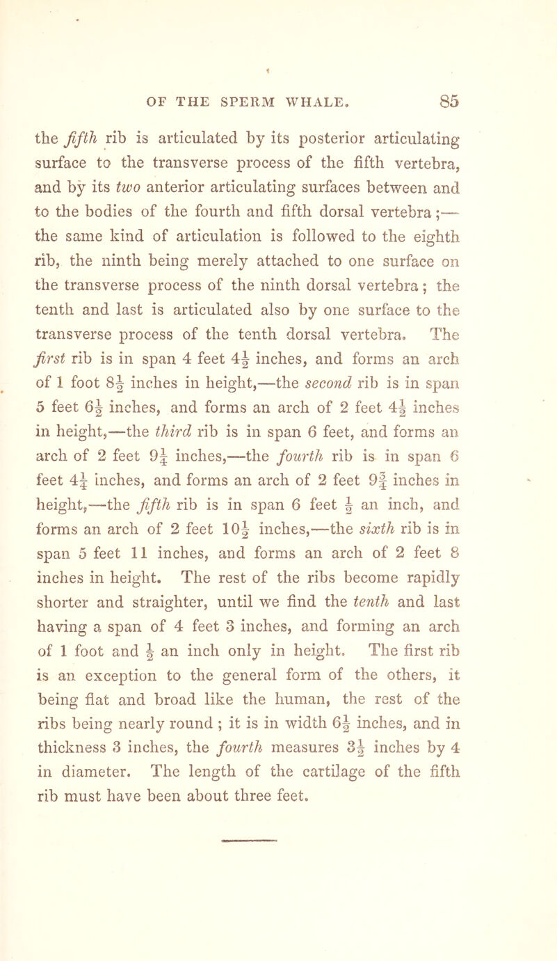 the fifth rib is articulated by its posterior articulating surface to the transverse process of the fifth vertebra, and by its two anterior articulating surfaces between and to the bodies of the fourth and fifth dorsal vertebra;—- the same kind of articulation is followed to the eighth rib, the ninth being merely attached to one surface on the transverse process of the ninth dorsal vertebra; the tenth and last is articulated also by one surface to the transverse process of the tenth dorsal vertebra. The first rib is in span 4 feet 4j inches, and forms an arch of 1 foot 8^ inches in height,—the second rib is in span 5 feet Q\ inches, and forms an arch of 2 feet 4| inches in height,—the third rib is in span 6 feet, and forms an arch of 2 feet 9^ inches,—the fourth rib is in span 6 feet 4| inches, and forms an arch of 2 feet 9| inches in height,-—the fifth rib is in span 6 feet | an inch, and forms an arch of 2 feet lOj inches,—the sixth rib is in span 5 feet 11 inches, and forms an arch of 2 feet 8 inches in height. The rest of the ribs become rapidly shorter and straighter, until we find the tenth and last having a span of 4 feet 3 inches, and forming an arch of 1 foot and \ an inch only in height. The first rib is an exception to the general form of the others, it being flat and broad like the human, the rest of the ribs being nearly round ; it is in width 6j inches, and in thickness 3 inches, the fourth measures 3j inches by 4 in diameter. The length of the cartilage of the fifth rib must have been about three feet.