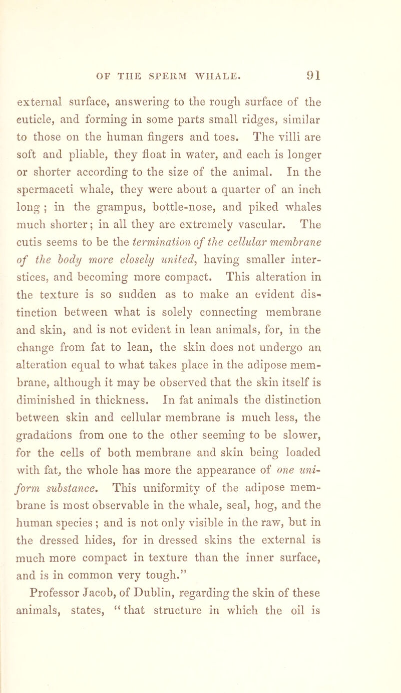 external surface, answering to the rough surface of the cuticle, and forming in some parts small ridges, similar to those on the human fingers and toes. The villi are soft and pliable, they float in water, and each is longer or shorter according to the size of the animal. In the spermaceti whale, they were about a quarter of an inch long ; in the grampus, bottle-nose, and piked whales much shorter; in all they are extremely vascular. The cutis seems to be the termination of the cellular membrane of the body more closely united^ having smaller inter- stices, and becoming more compact. This alteration in the texture is so sudden as to make an evident dis- tinction between what is solely connecting membrane and skin, and is not evident in lean animals, for, in the change from fat to lean, the skin does not undergo an alteration equal to what takes place in the adipose mem- brane, although it may be observed that the skin itself is diminished in thickness. In fat animals the distinction between skin and cellular membrane is much less, the gradations from one to the other seeming to be slower, for the cells of both membrane and skin being loaded with fat, the whole has more the appearance of one uni- form substance. This uniformity of the adipose mem- brane is most observable in the w^hale, seal, hog, and the human species ; and is not only visible in the raw, but in the dressed hides, for in dressed skins the external is much more compact in texture than the inner surface, and is in common very tough.” Professor Jacob, of Dublin, regarding the skin of these animals, states, “ that structure in which the oil is