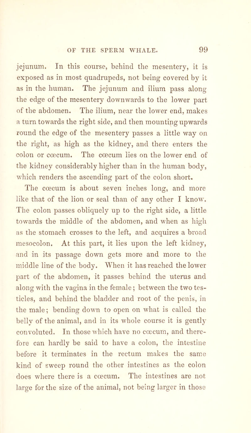 jejunum. In this course, behind the mesentery, it is exposed as in most quadrupeds, not being covered by it as in the human. The jejunum and ilium pass along the edge of the mesentery downwards to the lower part of the abdomen. The ilium, near the lower end, makes a turn towards the right side, and then mounting upwards round the edge of the mesentery passes a little way on the right, as high as the kidney, and there enters the colon or coecum. The coecum lies on the lower end of the kidney considerably higher than in the human body, which renders the ascending part of the colon short. The coecum is about seven inches long, and more like that of the lion or seal than of any other I know. The colon passes obliquely up to the right side, a little towards the middle of the abdomen, and when as high as the stomach crosses to the left, and acquires a broad mesocolon. At this part, it lies upon the left kidney, and in its passage down gets more and more to the middle line of the body. When it has reached the lower 2)art of the abdomen, it passes behind the uterus and along with the vagina in the female; between the two tes- tides, and behind the bladder and root of the penis, in the male; bending down to open on what is called the belly of the animal, and in its whole course it is gently convoluted. In those which have no coecum, and there- fore can hardly be said to have a colon, the intestine before it terminates in the rectum makes the same kind of sweep round the other intestines as the colon does where there is a coecum. The intestines are not large for the size of the animal, not being larger in those