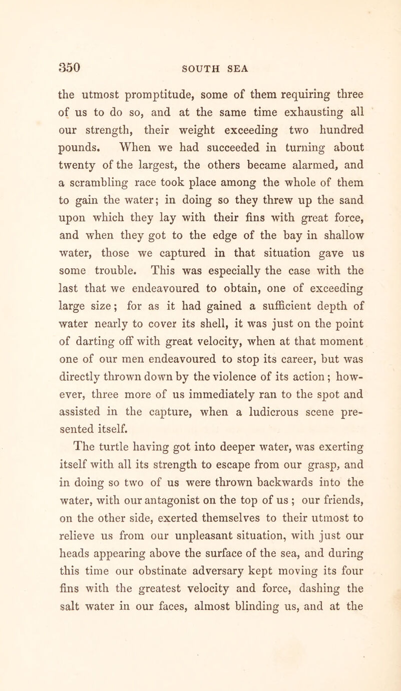 the Utmost promptitude, some of them requiring three of us to do so, and at the same time exhausting all our strength, their weight exceeding two hundred pounds. When we had succeeded in turning about twenty of the largest, the others became alarmed, and a scrambling race took place among the whole of them to gain the water; in doing so they threw up the sand upon which they lay with their fins with great force, and when they got to the edge of the bay in shallow water, those we captured in that situation gave us some trouble. This was especially the case with the last that we endeavoured to obtain, one of exceeding large size; for as it had gained a sufficient depth of water nearly to cover its shell, it was just on the point of darting off with great velocity, when at that moment one of our men endeavoured to stop its career, but was directly thrown down by the violence of its action; how- ever, three more of us immediately ran to the spot and assisted in the capture, when a ludicrous scene pre- sented itself. The turtle having got into deeper water, was exerting itself with all its strength to escape from our grasp, and in doing so two of us were thrown backwards into the water, with our antagonist on the top of us ; our friends, on the other side, exerted themselves to their utmost to relieve us from our unpleasant situation, with just our heads appearing above the surface of the sea, and during this time our obstinate adversary kept moving its four fins with the greatest velocity and force, dashing the salt water in our faces, almost blinding us, and at the