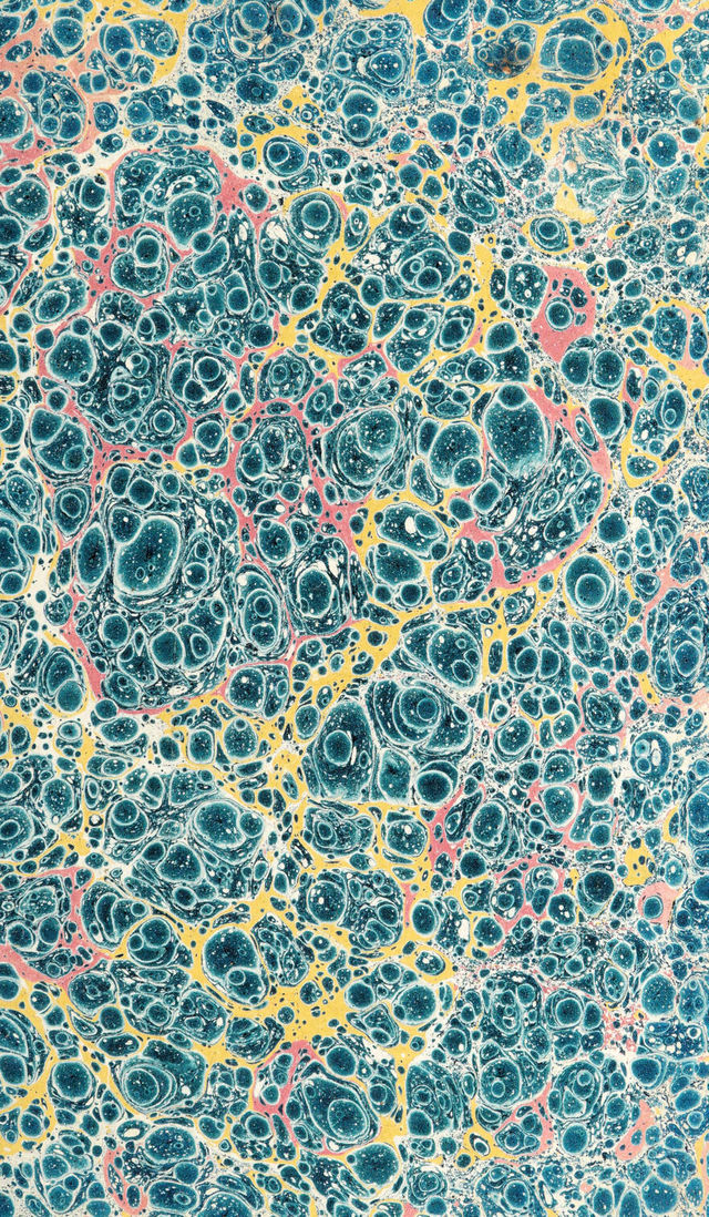 No text description is available for this image