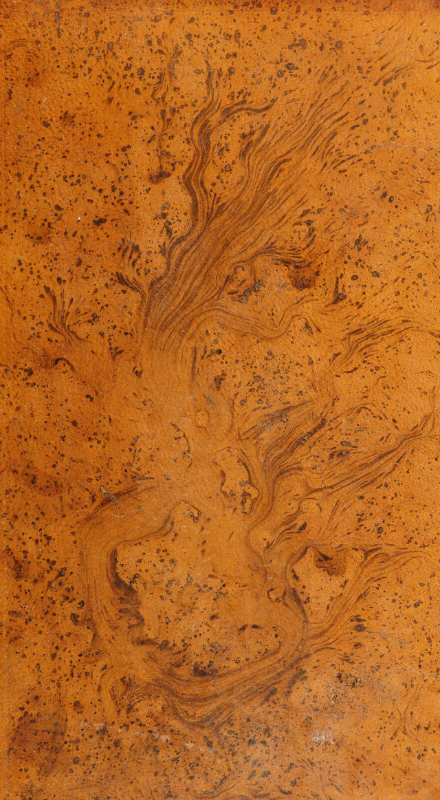 digitised image 1