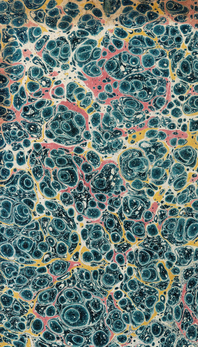 digitised image 2