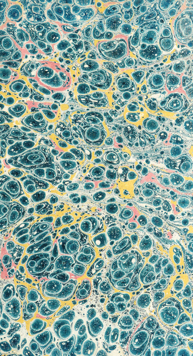 digitised image 3