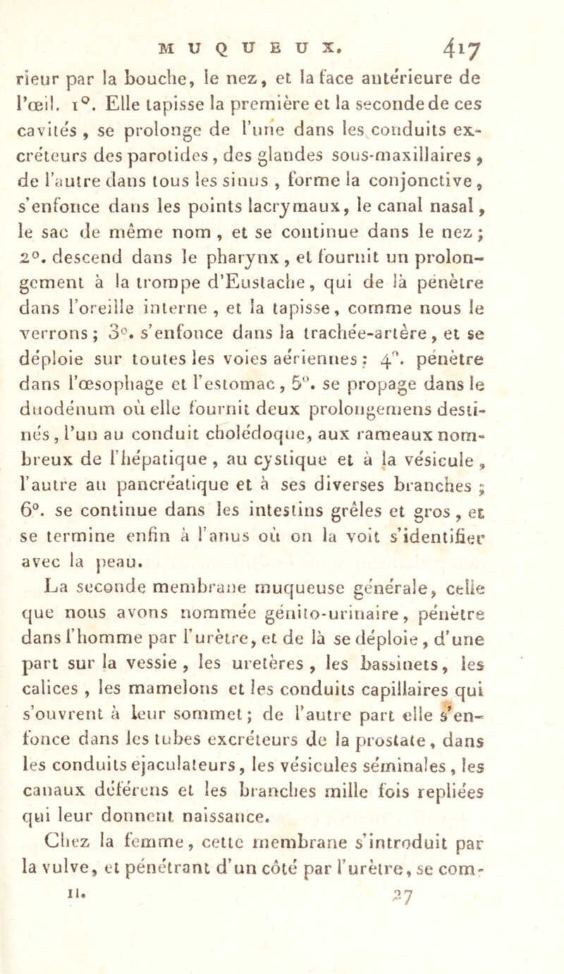 rieur par la bouche, ie nez, et ia face anterieure de i’œil. ï^. Elle tapisse la première et la seconde de ces cavités , se prolonge de Tune dans les,conduits ex- cre'teurs des parotides , des glandes sous-maxillaires ^ de l’autre dans tous les sinus , forme la conjonctive , s’enfonce dans ies points lacrymaux, le canal nasal, le sac de même nom , et se continue dans le nez ; 2®. descend dans le pharynx , et fournit un prolon- gement à la trompe d’Eustacbe, qui de là pénètre dans l’oreille interne , et la tapisse, comme nous le verrons; 3^. s’enfonce dans la trachée-artère, et se déploie sur toutes les voies aériennes ; 4. pénètre dans l’œsophage et l’estomac, 5’h se propage dans le duodénum où elle fournit deux prolongemens desti- nés , l’un au conduit cholédoque, aux rameaux nom- breux de l’hépatique, au cystique et à ia vésicule 5, l’autre au pancréatique et à ses diverses branches ; 6°. se continue dans les intestins grêles et gros, eE se termine enfin à l’anus où on la voit s’identifier avec la peau. La seconde membrane muqueuse générale, celle que nous avons nommée génito-urinaire, pénètre dans f homme par l’urètre, et de là se déploie , d’une part sur la vessie, les uretères, les bassinets, les calices , les mamelons et les conduits capillaires qui s’ouvrent à leur sommet; de l’autre part elle s’en- fonce dans les tubes excréteurs de la prostate, dans les conduits ejaculaleurs, les vésicules séminales , les canaux déférens et les branches mille fois repliées qui leur donnent naissance. Ch ez la femme, cette membrane s’introduit par la vulve, et pénétrant d’un côté par i’urèlre, se corn- II. 27