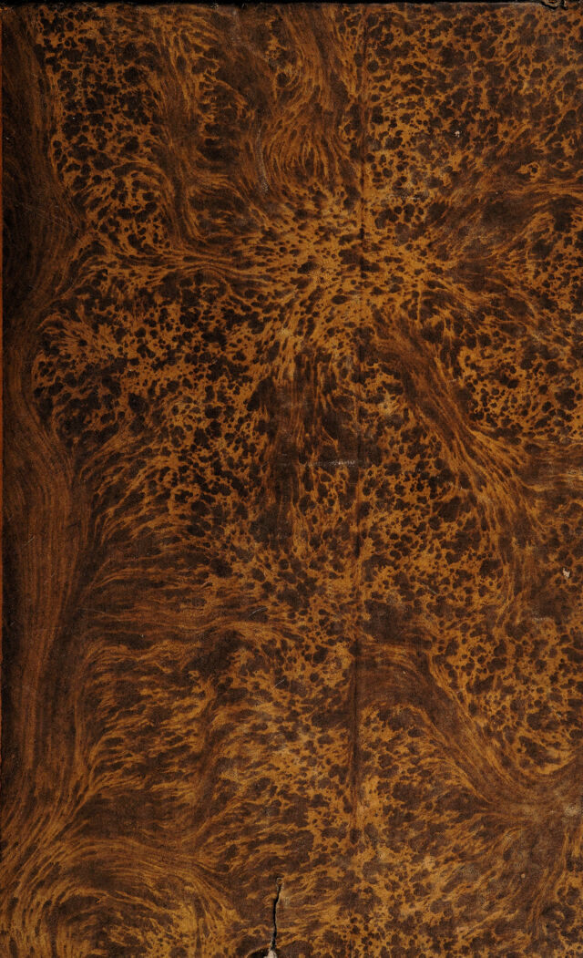 digitised image 1