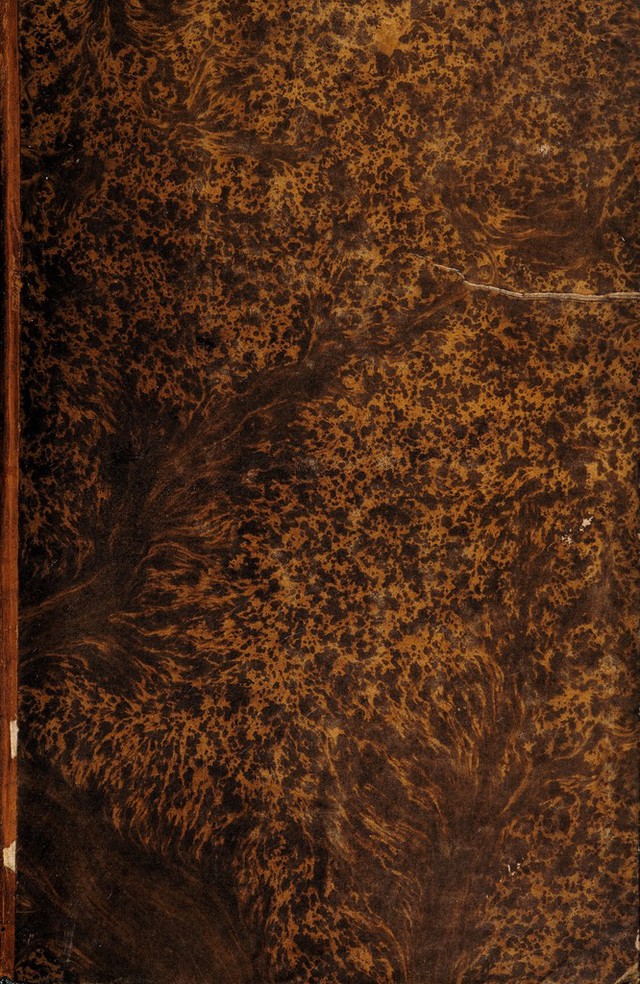 digitised image 1