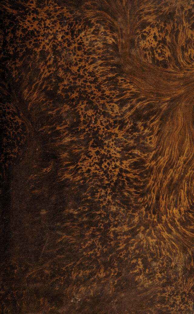 digitised image 1