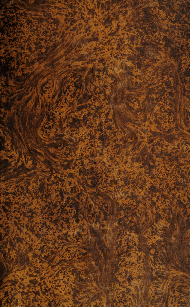 digitised image 1