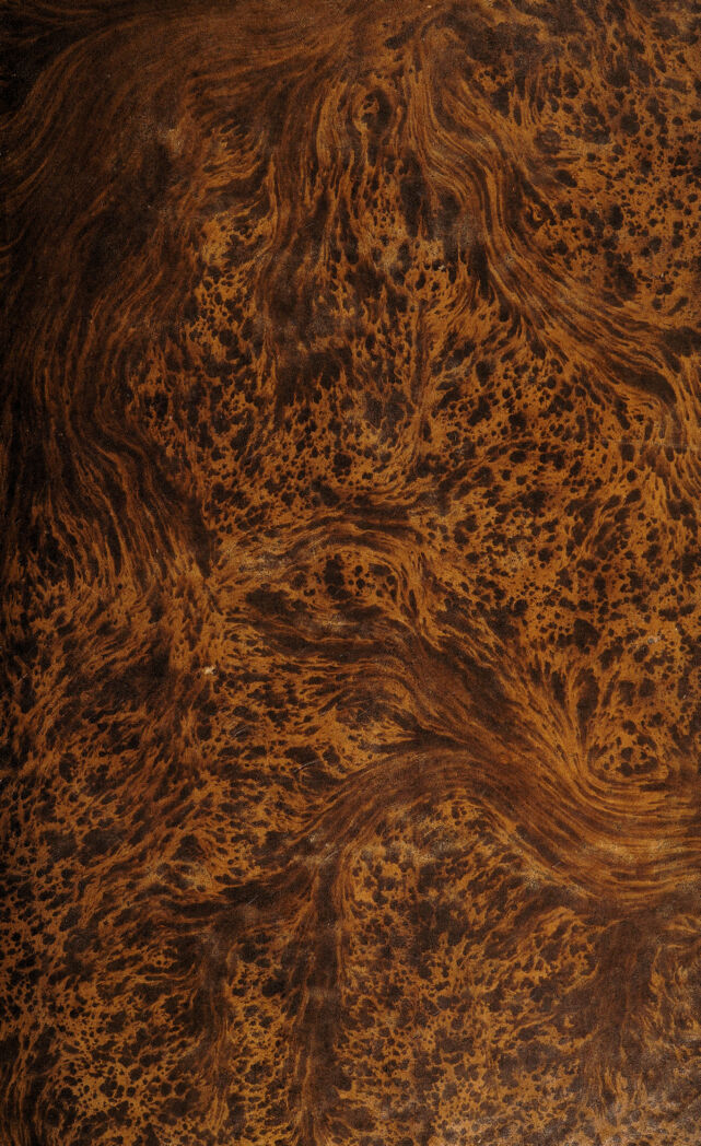 digitised image 1
