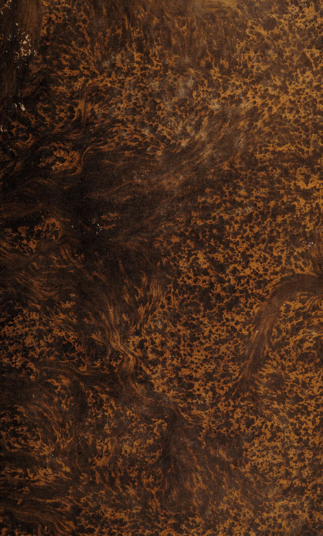 digitised image 1