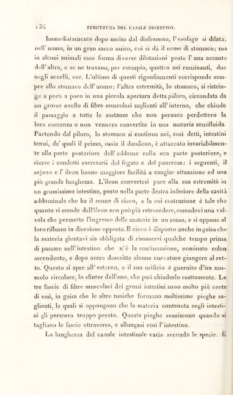 î 3G Immediaîatnenle dopo uscito da] diaframma, l’esofago si dilata^ nell’ uomo, in un gran sacco unico, cui si dà il nome di stomaco; ma in alcuni animali esso forma diverse dilatazioni poste l’ una accanto dell’altra, e se ne trovano, per esempio, quattro nei ruminanti, due negli uccelli, ecc. L’ultimo di questi rigonfiamenti corrisponde seni' pre allo stomaco dell’uomo; l’altra estremità, Io stomaco, si ristrin- ge a poco a poco in una piccola apertura detta piloro^ circondata da un grosso anello di fibre muscolari saglienti all’interno, che chiude il passaggio a tutte le sostanze che non peranco perdettero la loro coerenza o non vennero convertite in una materia semifluida. Partendo dal piloro, lo stomaco si continua nei, cosi detti, intestini tenui, de’ quali il primo, ussia il duodeno, è attaccato invariabilmen- te alla parte posteriore dell’addome colla sua parte posteriore, e riceve i condotti escretorii del fegato e del pancreas; i seguenti, il sejano e l’ ileon hanno maggiore facilità a cangiar situazione ed una più grande lunghezza. L’ileon convertesi pure alla sua estremità in un grossissimo intestino, posto nella parte destra iiifeidore della cavità addominale che ha il nome di cieco, e la cui costruzione è tale che quanto vi scende dallfileon non può più retrocedere, essendovi una val- vola che permelte l’ingresso delle materie in un senso, e si oppone al loro riflusso in direzione opposta.il cieco è disposto anche in guisa che la materia giuntavi sia obbligata di rimanervi qualche tempo prima di passare nell’intestino che n’è la continuazione, nominato colon ascendente, e dopo avere descritte alcune curv ature giungere al ret- % to. Questo si apre all’ esterno, e il suo orificio è guernlto d’un mu- scolo circolare, lo sfinter dell’ano, che può chiuderlo esattamente. Le tre fascie di fibre muscolari dei grossi intestmi sono molto piu corte di essi, in guisa che le altre tuniche formano moltissime pieghe sa- glienti, le quali si oppongono che la materia contenuta negli intesti- ni gli percorra troppo presto. Queste pieghe svaniscono quando si tagliano le fascie attraverso, e allungasi cosi l’intestino. « La lunghezza del canale intestinale varia secondo le specie. E /