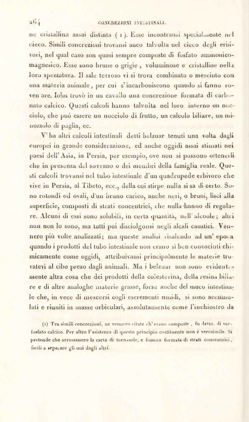 copiCiiËZiONi ]M'::sTiNALi. là(> j ne ci'islallina assai distinla ( i ). Esse incontraiiôi special^jeuLe lu^î cieco. Simili concrezioni trovansi anco talvolta nel cieco degli eruÌ- vori, nel qual caso son quasi sempre composte di fosfato ammonico- magnesico. Esse sono brune o grigie , voluminose e cristalline nella loro spezzatura. Il sale terroso vi si trova combinato o mesciuto con una materia animale^ per cui s’incarboniscono quando si fanno ro- ven are. lolin trovò in un cavallo una concrezione formata di carbu- nato calcico. Questi calcoli hanno talvolta nel loro interno un noc- ciolo, che può essere un nocciolo di frutto, un calcolo biliare, un mi- nuzzolo di paglia, ec. V’ha altri calcoli intestinali detti belzuar tenuti una volta dagli europei in grande considerazione, ed anche oggidì assai stimati nei paesi dell’Asia, in Persia, per esempio, ove non si possono oiteneili che in presenza del sovrano o dei ammbri della famiglia reale. Que- sti calcoli Irovansi nel tubo intestinale d’un quadrupede erbivoro che vive in Persia, al Tibeto, ecc., della cui stirpe nulla si sa di certo. So- no rotondi od ovali, d’un bruno carico, anche neri, o bruni, lisci alla superficie, composti di strati concentrici, che nulla-hanno di regola- re. Alcuni di essi sono solubili, in certa quantità, lidi'alcoole ; altri non non lo sono, ma tutti poi dlsciolgonsl negli alcali caustici. Ven- nero più volte analizzati; ma queste analisi lisaleiidu ad un’ epoca quando i pro<lottl del tubo intestinale non erano sì ben conosciuti chi- micamente come oggidì, attribuivansi principalmente le mateiie tro- vatevi al cibo preso dagli animali. Ma i belzuar non sono evideiit( r mente altra cosa che dei prodotti della colesterina, della resina bilia- re e di altre analoghe materie grasse, forse anche dei muco intestinaf le che, in vece di mescersi cogli escrementi umidi, si sono accumu- lati e riuniti in masse orbiculari, assolutamente come l’inchiostro da (i) Tra si mi lì concrezioni, ne vennero citale eh’erano composte , fu -letto fli sur-. fosfato calcico. Per altro l’esistenza di questo principio costituente non è verosimile. Si pretende che arrossassero la carta di torn asole, e fossero formate di strati concentrici , facili A sepaiare gli uni dagli alili.