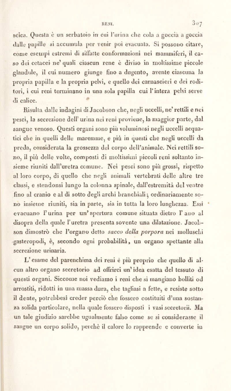 scica. Questa è un serbatoio in cui l'mina che cola a goccia a goccia dalle papille si accumula per venir poi evacuala. Si possono citare, come esempi estremi di siffatte conformazioni nei mammiferi, il ca- so dei cetacei ne’ quali ciascun rene è diviso in moltissime piccole glandule, il cui numero giunge fino a dugento, avente ciascuna la propria papilla e la propria pelvi, e quello dei carnascieri e dei rodi- tori, 1 cui reni terminano in una sola papilla cui l'intera pelvi serve di calice. Risulta dalle indagini di Jacobson che, negli uccelli, ne’rettili e nei pesci, la secrezione dell’ urina nei reni proviene, la maggior parte, dal sangue venoso. Questi organi sono più voluminosi negli uccelli acqua- tici cbe in quelli delle maremme, e più In questi che negli uccelli da preda, considerata la grossezza del corpo deìl’animale. Nei rettili so» no, il più delle volte, composti di moltissimi piccoli reni soltanto in- sieme riuniti dall’uretra comune. Nei pesci sono più grossi, rispetto al loro corpo, di quello che negli animali vertebrati delle altre tre classi, e stendonsi lungo la colonna spinale, dall’estremità del ventre fino al cranio e al di sotto degli archi branchiali^ ordinariamente so- no insieme riuniti, sia in parte, sia in tutta la loro lunghezza. Essi ‘ evacuano Purina per un’apertura comune situata dietro l’ano ai disopra della quale l’uretra presenta sovente una dilatazione. Jacob- son dimostrò che l’organo detto sacco della porpora nei molluschi gasteropodi, è, secondo ogni probabilità, un organo spettante alla secrezione urinaria. L’esame del parenchima del reni è più proprio che quello di al- cun altro organo secretorio ad offrirci un’ idea esatta del tessuto di questi organi. Siccome noi vediamo i reni che si mangiano bollili od arrostiti, ridotti in una massa dura, che tagliasi a fette, e resiste sotto • il dente, polrebbesi creder perciò cbe fossero costituiti d’ima sostan- za solida particolare, nella quale fossero disposti i vasi secretorii. Ma un tale giudizio sarebbe ugualmente falso come se si considerasse il sangue un corpo solido, perchè il calore lo rapprende e converte in
