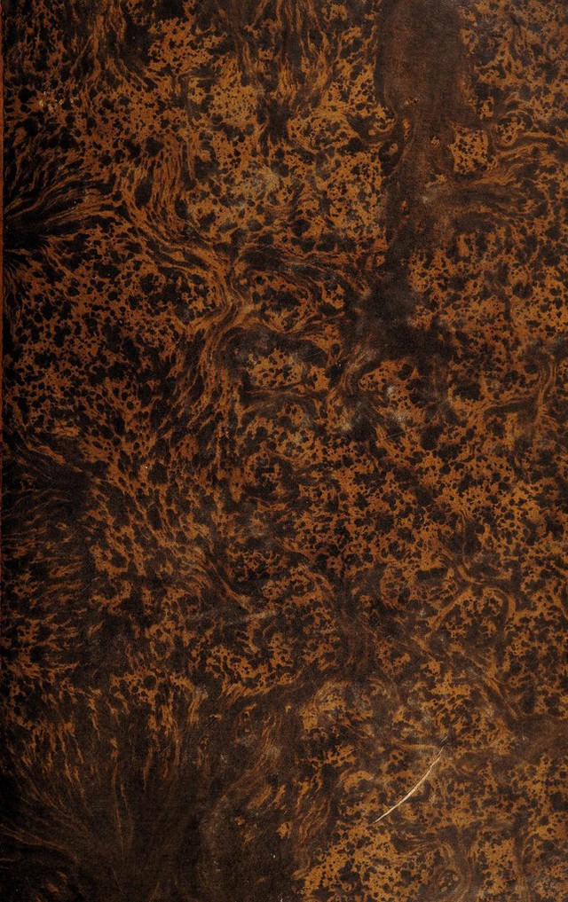 digitised image 1