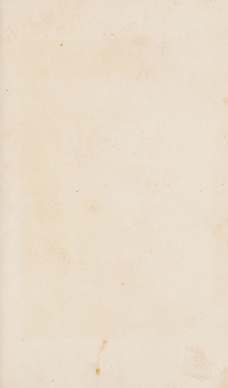 Fei 4 us RYN? ad Ok i Pad Te » ir) na as BAe ty) Reh tae ot Doh ates 0's Mm a Ue SAE; eA a ie atest Pup