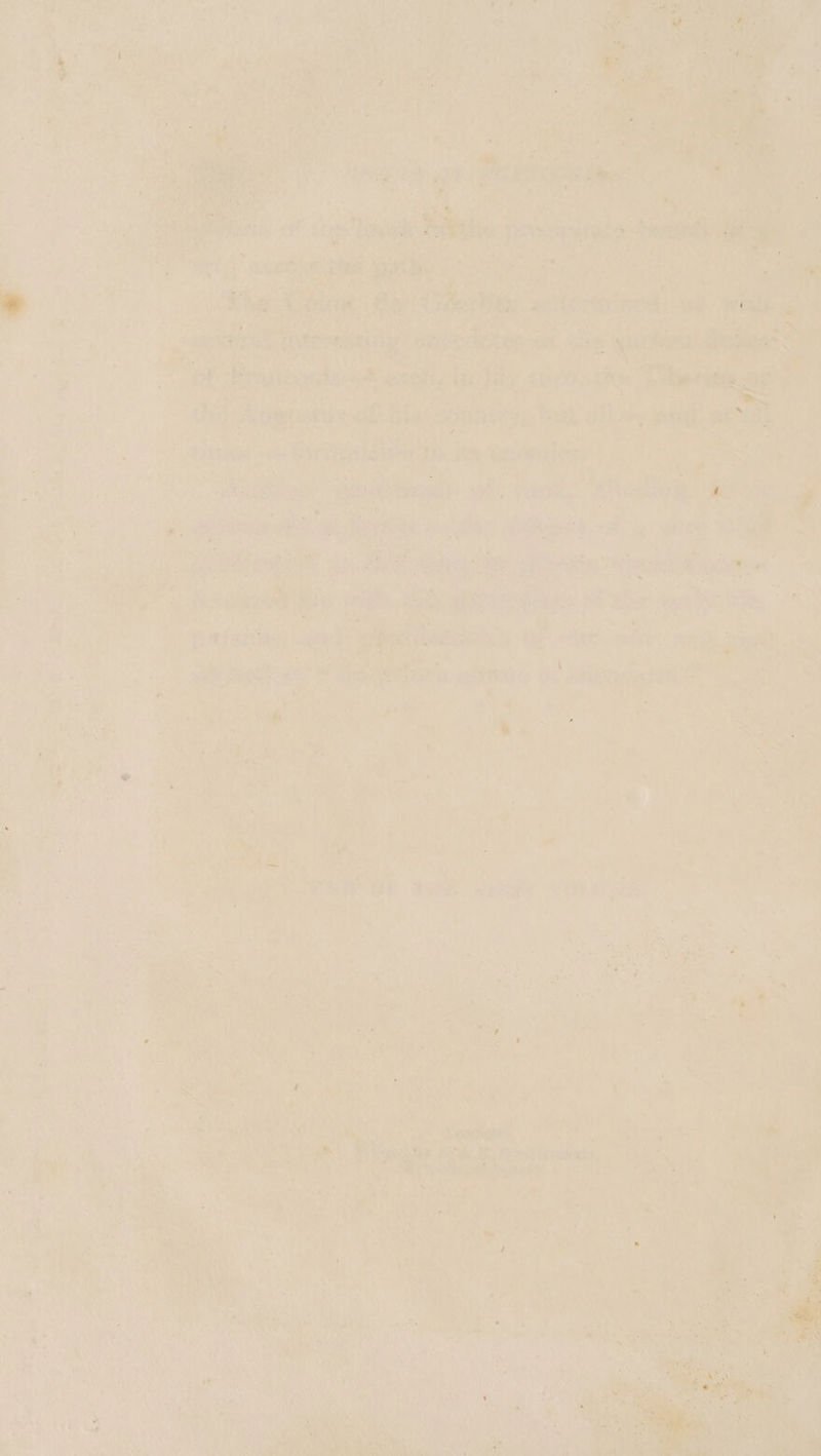 =a / a ‘ a a 5 a0) re) * 7 =} ae as hae - hp, * ~~ As Aa Ra 4¥ , Wy ka eee RE teat, oath Tee ia ae Dee wal i