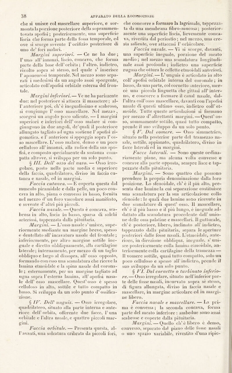 che SÌ unisce col mascellare superiore, e sor- monta la porzione posteriore della soprammen- tovala apofìsi ; posteriormente, una superficie liscia che forma parte della fossa temporale, ed ove si scorge sovente F orifizio posteriore di uno de’ fori malari. Margini superiori. — Ce ne ha due ; r uno air innanzi, liscio, concavo, che forma parte della base dell’orbita ; l’altro, indietro, rivolto sopra sè stesso, nel quale s’ inserisce 1’ aponeurosi temporale. Nel mezzo sono sepa- rati i medesimi da un angolo assai sporgente, articolato coH’apofisi orbitale esterna del fron- tale. Margini inferiori. — Ve ne ha parimente due: nel posteriore si attacca il massetere; al- l’anteriore poi, eh’è inegualissimo e scabroso, si congiunge 1’ osso mascellare. Nel mezzo , scorgesi un angolo poco saliente. — I margini superiori e inferiori dell’ osso malare si con- giungono in due angoli, de’quali il posteriore allungato tagliato ad ugna sostiene 1’apofìsi zi- gomatica, e P anteriore si appoggia sopra l’os- so mascellare. L’osso inalare, denso e un poco celluloso all’ innanzi, alla radice della sua apo- fisi, e composto specialmente da sostanza com- patta altrove, si sviluppa per un solo punto. § III. Dell osso del naso. — Osso irre- golare, posto nella parte media e superiore della faccia, quadrilatero, diviso in faccia cu- tanea e nasale, ed in margini. Faccia cutanea. — E coperta questa dal muscolo piramidale e dalla pelle, un poco con- cava in alto, piana o convessa in basso, fornita nel mezzo d’un foro vascolare assai manifesto, e sovente d’ altri più piccoli. Faccia nasale. — Questa è concava, sca- brosa in alto, liscia in basso, sparsa di solchi arteriosi, tappezzata dalla pituitaria. Margini. — L’osso nasale s’unisce, supe- riormente mediante un margine breve, spesso e dentellato all’ incavatura nasale del frontale ; inferiormente, per altro margine sottile ine- guale e diretto ohbliquaniente, alla cartilagine laterale; internamente, per mezzo di un taglio obbliquo e largo al dissopra, all’ osso opposto, formando con esso una scanalatura che riceve la lamina e tumida le e la spina nasale del corona- le ; esternamente, per un margine tagliato ad ugna sopra l’esterna lamina, all’apofìsi nasa- le dell’ osso mascellare. Quest’ osso è spesso celluloso in alto, sottile e tutto compatto in basso. Si sviluppa da un solo punto d’ ossifica- zione. § IF. Dell unguis. — Osso irregolare, quadrilatero, situato alla parte interna e ante- riore dell’orbita, offerente due facce. Luna orbitale e l’altra nasale, c quattro piccoli mar- gini. Faccia orbitale. — Presenta questa, al- r avanti, una solcatura cribrata da piccoli fori, che concorre a formare la lagrimale, tappezza- ta da una membrana fìbro-mucosa ; posterior- mente una superfìcie liscia, lievemente conca- va, rivestita dal periostio; nel mezzo, una cre- sta saliente, ove attaccasi 1’ orbicolare. Faccia nasale. —' Vi si scorge, davanti, una superfìcie ineguale, porzione del meato medio ; nel mezzo una scanalatura longitudi- nale assai profonda ; indietro una superfìcie rugosa che ottura le cellette etmoidali anteriori. Margini. — L’unguis è articolato in alto coll’ apofìsi orbitale interna del coronale ; in basso, da una parte, col cornetto anteriore, mer- cè una piccola linguetta che gittasi all’inter- no, e concorre a formare il canal nasale, dal- l’altra coll’osso mascellare, davanti con l’apofìsi nasale di questi ultimo osso, indietro coll’et- moide. Tutte queste articolazioni si formano per mezzo d’ altrettanti margini. —Quest’ os- so, sommamente sottile, quasi tutto compatto, prende il suo sviluppo da un solo punto. § F. Del vomere. — Osso simmetrico, situato nella posterior parte del tramezzo na- sale, sottile, appianato, quadrilatero, diviso in facce laterali ed in margini. Facce laterali. — Sono queste ordina- riamente piane, ma alcuna volta convesse e concave alla parte opposta, sempre lisce e tap- pezzate dalla pituitaria. Margini. — Sono quattro che possono prendere la propria denominazione dalla loro posizione. Lo sfenoidale, eh’ è il più alto, pre- senta due lamine la cui separazione costituisce una scanalatura per la sua articolazione collo sfenoide : le quali due lamine sono ricevute in due scanalature di quest’ osso, li mascellare, eh’ è il più basso e il più lungo, è ineguale ad- datlato alla scanalatura procedente dall’ unio- ne delle ossa palatine e mascellari. 11 gutturale, eh’è posteriore, libero, inclinalo all’indietro, tappezzato dalla pituitaria, separa le aperture posteriori dalle fosse nasali. Ifetmoidale, ante- riore, in direzione obbliqua, ineguale, s’ uni- sce posteriormente colla lamina etmoidale, an- terionnente colla cartilagine della tramezza — 11 vomere sottile, quasi tutto compatto, solo un poco celluloso e spesso all’indietro, prende il suo sviluppo da un solo punto. § FI. Del cornetto o turbinato inferio- re. — Osso irregolare, situato nell’inferior par- te delle fosse nasali, incurvato sopra sè stesso, di figura allungata, diviso in faccia nasale e mascellare, in margine articolare ed in margi- ne libero. Faccia nasale e mascellare. — La pri- ma è convessa ; la seconda concava, forma parte del meato inferiore : ambedue sono assai scabrose e coperte dalla pituitaria. Margini. — Quello eh’è libero è denso, convesso, separato dal piano delle fosse nasali o uno spazio variabile, rivestilo d’una ripic-