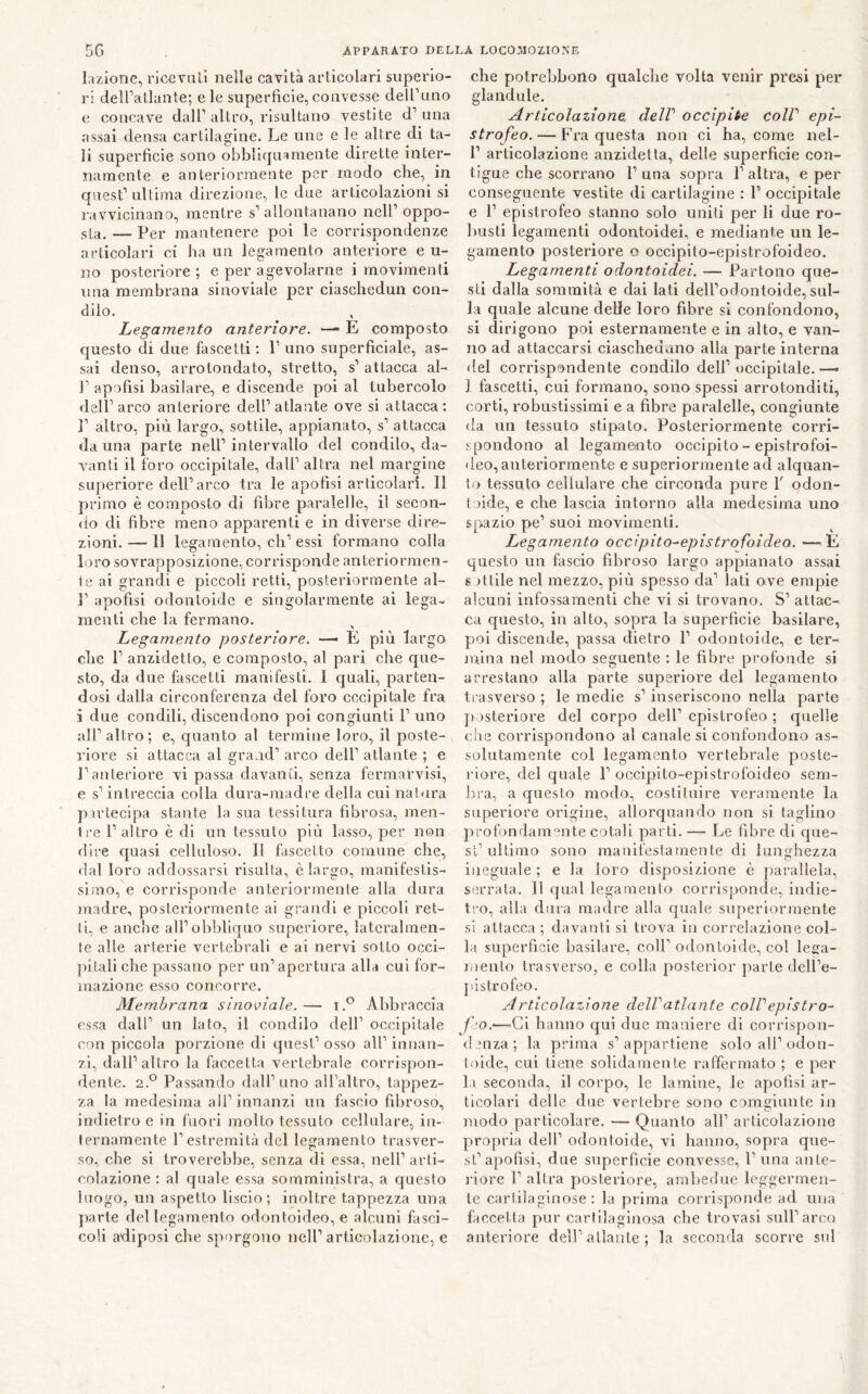 l.izione, ricevuti nelle cavità articolari superio- ri deiratlaiite; e le superficie, convesse delFuno e concave dall’altro, risultano vestite d’una assai densa cartilagine. Le une e le altre di ta- li superficie sono obbliquaniente dirette inter- namente e anteriormente per modo che, in quest’ ultima direzione, le due articolazioni si ravvicinano, mentre s’allontanano nell’oppo- sta. — Per mantenere poi le corrispondenze articolari ci ha un legamento anteriore e ti- no posteriore ; e per agevolarne i movimenti una membrana sinoviale per ciascheduii con- dilo. Legamento anteriore. E composto questo di due fasce Iti ; 1’ uno superficiale, as- sai denso, arrotondato, stretto, s’ attacca al- 1’ apofisi basilare, e discende poi al tubercolo dell’ arco anteriore dell’atlante ove si attacca; 1’ altro, più largo, sottile, appianato, s’ attacca danna parte nell’intervallo del condilo, da- vanti il foro occipitale, dall’ altra nel margine superiore dell’arco tra le apofisi articolari. Il primo è composto di fibre paralelle, il secon- <to di fibre meno apparenti e in diverse dire- zioni. — Il legamento, eh’ essi formano colla loro sovrapposizione, corrisponde anteriormen- te ai grandi e piccoli retti, posteriormente al- 1’ apofisi odonloidc e singolarmente ai lega- menti che la fermano. Legamento posteriore. — E più largo che 1’ anzidetto, e composto, al pari che que- sto, da due fascetti manifesti. I quali, parten- dosi dalla circonferenza del foro cccipitale fra i due condili, discendono poi congiunti 1’ uno all’altro; e, quanto al tertnine loro, il poste- l’iore si attacca al grand’ arco dell’ atlante ; e l’anteriore vi passa davanti, senza fermarvisi, e s’intreccia colla dura-madre della cui natura pu’tecipa stante la sua tessitura fibrosa, men- ti-e l’altro è di un tessuto più lasso, per non dire quasi celluloso. Il fascetto comune che, flal loro addossarsi risulta, è largo, manifestis- simo, e corrisponde anteriormente alla dura madre, posteriormente ai grandi e piccoli ret- ti, e anche all’obbliquo superiore, lateralmen- te alle arterie vertebrali e ai nervi sotto occi- })itali che passano per un’apertura alla cui for- mazione esso concorre. Membrana sinoviale. — Aldaraccia essa dall’ un lato, il condilo dell’ occipitale con piccola porzione di quest’ osso all’ innan- zi, dall’altro la faccetta vertebrale corrispon- dente. 2.*^ Passando dall’uno all’altro, tappez- za la medesima all’innanzi un fascio fibroso, indietro e in fuori molto tessuto cellulare, in- ternamente r estremità del legamento trasver- so, che si troverebbe, senza di essa, nell’arti- colazione : al quale essa somministra, a questo luogo, un aspetto liscio; inoltre tappezza una parte del legamento odontoideo, e alcuni fasci- coli adiposi che sporgono nell’articolazione, e che potrebbono qualche volta venir presi per glandule. Articolazione delV occìpite coir epi- strofeo. — Fra questa non ci ha, come nel- 1’ articolazione anzidetta, delle superficie con- tigue che scorrano 1’una sopra l’altra, e per conseguente vestite di cartilagine : 1’ occipitale e 1’ epistrofeo stanno solo uniti per li due ro- busti legamenti odontoidei, e mediante un le- gamento posteriore o oecipito-epistrofoideo. Legamenti odontoidei, — Partono que- sti dalla sommità e dai lati dell’odontoide, sul- la quale alcune delle loro fibre si confondono, si dirigono poi esternamente e in alto, e van- no ad attaccarsi ciascheduno alla parte interna del corrispondente condilo dell’occipitale.—• 1 fascetti, cui formano, sono spessi arrotonditi, corti, robustissimi e a fibre paralelle, congiunte da un tessuto stipato. Posteriormente corri- spondono al legamealto occipito - epistrofoi- deo, anteriormente e superiormente ad alquan- to tessuto cellulare che circonda pure T odon- toïde, e che lascia intorno alla medesima uno spazio pe’ suoi moidmenti. Legamento oecipito-epistrofoideo. —E questo un fascio fibroso largo appianato assai s .)Itile nel mezzo, più spesso da’ lati ove empie alcuni infossamenti che vi si trovano. S’ attac- ca questo, in alto, sopra la superficie basilare, poi discende, passa dietro 1’ odonIoide, e ter- mina nel modo seguente ; le fibre profonde si arrestano alla parte superiore del legamento trasverso ; le medie s’inseriscono nella parte posteriore del corpo dell’ epistrofeo ; quelle che corrispondono al canale si confondono as- solutamente col legamento vertebrale poste- riore, del quale 1’ oecipito-epistrofoideo sem- ina, a questo modo, costituire veivunente la superiore origine, allorquando non si taglino profondamente cotali parti. — Le fibre di que- st’ ultimo sono manifestamente di lunghezza ineguale ; e la loro disposizione è parallela, serrata. Il qual legamento corrisponde, indie- t'.-o, alla dura madre alla quale superiormente si attacca ; davanti si trova in correlazione col- la superficie basilare, coll’ odonIoide, col lega- mento trasverso, e colla posterior parte dell’e- j'istrofeo. Articolazione delV atlante colf epistro- fe.'—Ci hanno qui due maniere di corrispon- denza; la prima s’appartiene solo all’odon- loide, cui tiene solidamente raffermato ; e per la seconda, il corpo, le lamine, le apofisi ar- ticolari delle due vertebre sono comgiunte in modo particolare. — Quanto all’ articolazione propria dell’ odontoide, vi hanno, sopra que- st’apofisi, due superficie convesse, 1’ una ante- riore 1’ altra posteriore, ambedue leggermen- te cartilaginose: la prima corrisponde ad una faccetta pur cartilaginosa che trovasi sull’arco anteriore dell’atlante; la seconda scorre sul