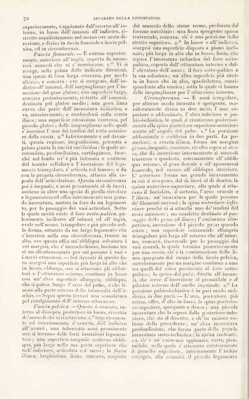 superiormente, è appianato daircslerno alPin- lerno, in basso dalb innanzi all’iiidietro, ri- stretto manifestamente nel mezzo ove muta di- rezione, e diviso in faccia femorale e faccia pel- vica, ed in circonferenza. ^ Faccia femorale.— E esterna superior- mente, anteriore all’ ingiù, coperta da nume- rosi muscoli che vi s’ inseriscono, i.^ Vi si scorge, nella prima delle indicate direzioni, una specie di fossa larga convessa, per modo alterno, e concava ; ove si scorgono, dalP in- dietro air innanzi, dell’ineguaglianze per P in- serzione del gran gluteo ; una superfìcie larga, concava posteriormente, ristretta alP innanzi, destinata pel gluteo medio ; una gren linea curva che parte dalP incavatura ischiatica, e va, anteriormente, a confondersi colla cresta iliaca ; una superfioie estesissima convessa, pel piccolo gluteo ; delle ineguaglianze nelle (piali s’inserisce P uno dei tendini del retto anterio- re della coscia. 2.® Inferiormente e sul davan- ti, cpiesta regione, inegualissima, presenta a prima giunta la cavità cotiloiclea : la quale ar- rotondata, profondissima, cartilaginosa, fuor- ché nel fondo ov’ è più infossata e contiene del tessuto cellulare e P inserzione del lega- mento triangolare, s’ articola col femore, e dà con la propria circonferenza, attacco alla ca- psula delParticolazione. Questa circonferenza poi è ineguale, e assai prominente al di fuori; sostiene in oltre una specie di girella circolare e legamentosa ed offre internamente una gran- de incavatura, mutata in foro da un legamene- to, per lo passaggio dei vasi articolari. Sotto la quale cavità esiste il foro sotto-pubico., pa- lesemente inclinato alP infuori ecl alP ingiù, ovale nelPuomo, triangolare e più piccolo nel- la dorma, otturato da un largo legamento che s’inserisce nella sua circonferenza, tranne in alto, ove questa offre un’obblicpia solcatura i cui rnarginp che s’incrocicchiano, lasciano tra sé un allontanamento per cui passano i vasi e i nervi otturatori. — Sul davanti di (jueslo fo- ro scorgesi una superficie più larga in alto che in basso, oblunga, ove si attaccano gli addut- tori e P otturatore esterno, continua in basso con un’ altra superfìcie allungala, obhliqua, che si palesa lungo P arco del pube, e che fi- nisce alla parte esterna della tuberosità dell’ i- schio. — Sopra questa trovasi una scanalaiuia pel l'ivolglmenlo dell’interno otturatore. Faccia pelvica. — Questa è concava, in- terna al dissopra, posteriore in basso, rivestita dc’muscoli che vi si attaccano, i.^’Superiormen- te ed internamente, s’osserva, dall’indietro all’avanti , una tuberosità assai prominente ove si trovano delle forti inserzioni legamen- tose ; una superfìcie ineguale scabrosa olibli- (jua, più larga nella sua parte superiore che nell’inferiore, articolata col sacro; la fossa iliaca., largihssima, liscia, concava, empiuta dal muscolo dello stesso nome, perforala dal forame nutritizio : una linea sporgente spessa trasversale, concava, cip è una porzione dello stretto superiore. 2.° In basso e all’indietro, scorgesi una superficie disposta a piano incli- nato, più larga in alto che in basso, liscia, che separa l’incavatura ischiatica dal foro sotto- pubico, coperta dall’ otturatore interno e dal- 1’ elevatore dell’ anno ; il foro sotto-pubico e la sua solcatura; un’altra superficie più stret- ta in basso che in alto, quadrilatera, corri- spondente alla vescica ; sotto la quale ci hanno delle ineguaglianze per ì’ otturatore interno. Circonferenza. — E assai irregolare, per alterno modo incavata e sporgente, ma- nifestamente divisa in due metà, 1’ una su- periore o addominale, 1’ altra inferiore o pu- bio-ischialica, le quali si riimiscouo posterior- mente alla spina posteriore siiperiore-auterior- mente all’angolo del pube. i.^La porzione addominale è suddivisa in due parti. La po- steriore, o cresta iliaca., forma un margine grosso, ineguale, convesso, rivolto sopra sé stes- so, che dà inserzione internamente ai muscoli trasverso e quadrato, esternamente all’ obbli- quo esterno, al gran dorsale e all’ aponeurosi femorale, nel mezzo all’ obbliquo interiore. L’ anteriore forma un grande incavamento in cui si scorgono, dal di fuori al di dentro, la spina anterio re-superiore., alla ([naie si atta- cauo il fascialala, il sartorio, l’arco crurale e r iliaca; un’incavatura per la quale possano de’filamenti nervosi ; la spina anteriore-infe- riore perchè vi si attacchi uno de’ tendini del resto anteriore ; un canaletto destinato al pas- saggio dello psoas ed iliaco ; 1’ eminenza ilio- petinea., inserzione del piccolo psoas quando esiste ; una superficie orizzontale allungata triangolare più larga all’ esterno che all’inter- no, concava, trasversale per lo passaggio dei vasi crurali, la quale termina posteriormente per una cresta, eh’ è la continuazione della li- nea sporgente dal mezzo della faccia pelvica, anteriormente per un margine continuo a uno tra quelli del solco perliuente al foro sotto- pubico ; la spina del pube, diretta all’innan- zi, che serve d’inserzione al piramidale e al pilastro esterno dell’anello inguinale. 2.*^ La porzione pubio-ischiatica è in pari modo sud- divisa in due parti.— L’ una, posteriore, più estesa, offre, d’alto in basso, la spina posterio- re-superiore, sporgente e densa ; una piccola incavatura che la separa dalla postcriore-iuf’c- riore, che sta al dissolto, e ch’ha minore vo- lume della precedente ; un’ altra incavatura profondissima, che forma parte della grande incavatura sacro-ischiatica ; la spina ischiati- ca, eh’ è un’ eminenza appianata, corta, pira- midale, nella (piale s’ attaccano esternamente il gemello superiore, infernanienle l’ischio co-ccigeo, alla sommità il piccolo legamento