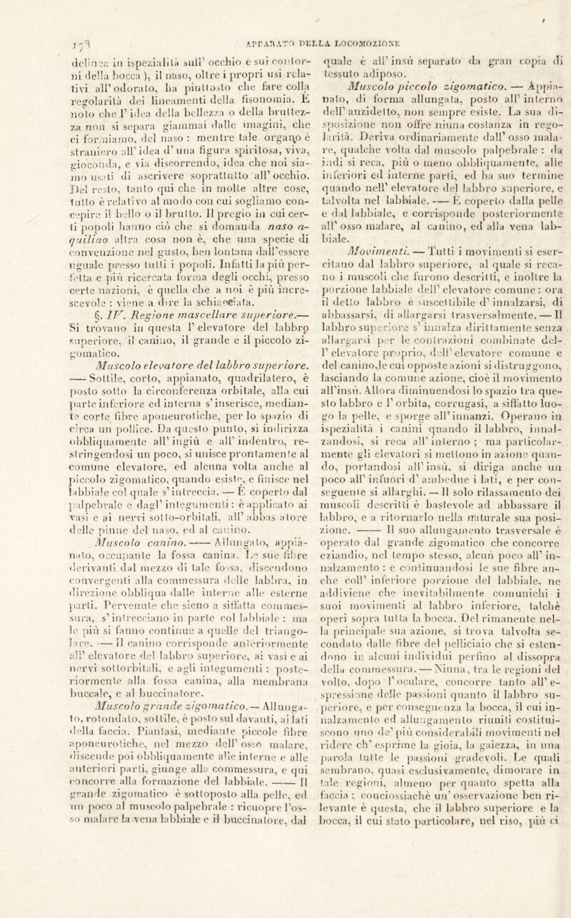 r APrAT\ATO DEL dclin;,‘a ia ispeziaîilà saii’ occhio e sui coalor- ai delia bocca ), il naso, olire i propri usi rela- tivi all’ odoralo, lia piuMosto die fare colla regolarità dei lineamenti della fìsoaomia. È noìo che T idea della bellez/,a o della braltez- za non si separa giammai dalle imagini, che ci formiamo, del naso : mentre tale orgai\o è straniero all’idea d’una figura spiritosa, viva, gioconda, e via discorrendo, idea che noi sia- mo usati di ascrivere soprattutto all’occhio. Del resto, tanto qui che in molte altre cose, tutto è relativo al modo con cui sogliamo con- cepire il hello o il bruito. Il pregio ia cui cer- ti popoli liaurio ciò che si domanda naso a- cjiiilino altra cosa non è, che una specie di convenzione nel gusto, ben lontana daircsscre uguale presso tutti i popoli. Infatti la più per- fetta e più ricercata forma degli occhi, presso certe nazioni, è quella che a noi è più incre- scevole : viene a dire la schiaeeiafa. IV. Regione mascellare superiore.— Si trovano in questa 1’ elevatore del labbro superiore, il caniuo, il grande e il piccolo zi- gomatico. Muscolo elevatore del labbro superiore. Sottile, corto, appianato, quadrilatero, è posto sotto la circonferenza orbitale, alla cui parte inferiore ed interna s’inserisce, median- te corte fibre aponeurotiche, per lo spazio di circa un pollice. Da questo punto, si indirizza ohhliquamente all’ ingiù e all’ indentro, re- .slringendosi un poco, si unisce prontamente al comune elevatore, ed alcuna volta anche al piccolo zigomatico, cpiando esistip e finisco nel habhiale col quale s’intreccia. — E coperto dal irdpebrale e dagl’integumenti : è applicato ai vasi e ai nervi sotto-orljitali, all’ahbas a tore delle pinne del naso, ed al canino. Muscolo canino. Allungalo, appia- nato, occupante la fossa canina. Im sue fi!;re derivanti dal mezzo di tale fossa, discendono convergenti alla commessura delle lab'ira, in direzione obbliqua dalle interne alle esterne ])arti. Pervenute che sieno a sitfatta commes- sura, s’intrecciano in parte col labl)iale : ma le più si fanno continue a quelle del triango- lare. — Il canino corrisponde anteriormente ali’ elevatore del labbro superiore, ai vasi e ai nervi sottorbitali, e agli integumenti : poste- riorjnente alla fossa canina, alla membrana buccale, e al Ijuccinatore. Muscolo grande zigomatico.—^ Allunga- lo, rotondato, sottile, è posto sul davanti, ai lati della faccia. Piantasi, mediante piccole fibre aponeurotiche, nel mezzo dell’osso inalare, discende poi oiibliquamente alle interne e alle anteriori parti, giunge alla commessura, e qui concoide alla formazione del labbiale. Il grande zigomatico è sottoposto alla pelle, ed un poco al muscolo palpebrale : ricuopre Pos- so inalare ia vena labbiale c il buccinalore, dal LA LOCOMOZIO'XE quale è all’insù separato da gran copia di tessuto adiposo. Muscolo piccolo zigomatico. — Appia- nato, di forma allungata, posto all’ interno dell’anzidetto, non sempre esiste. La sua di- sposizione non offre ninna costanza in rego- larità. Deriva ordinariamente dall’ osso inala- re, qualche volta dal muscolo palpebrale : da indi si reca, più o meno obbliquamente, alle inferiori ed interne parti, ed ha suo termine quando nell’ elevatore del labbro superiore, e talvolta nel labbiale. È coperto dalla pelle c dal labbiale, e corrisponde posteriormente all’osso inalare, al canino, ed alla vena lab- biale. Movimenti. — Tutti i movimenti si eser- citano dal labbro superiore, al quale si reca- no i muscoli che furono descritti, e inoltre la porzione labbiale dell’elevatore comune: ora il detto labbro è susccl libile d’innalzarsi, di abbassarsi, di allargarsi trasversalmente. — Il labbro superiore s’innalza dirittamente senza allargarsi per le contrazioni comliinate clel- P elevatore proprio, deli’elevatore comune e del canino,le cui opposte azioni si distruggono, lasciando la comune azione, cioè il movimento ali’insù. Allora diminuendosi lo spazio ti-a que- sto labbro e P orbita, corrugasi, a siffatto luo- go la pelle, e sporge alPinnanzi. Operano in ispezialità ì canini quando il labbro, innal- zandosi, si reca all’ interno ; ma particolar- mente gli elevatori si mettono in azione quan- do, portandosi alPinsù, si diriga anche un poco all’ infuori d’ ambedue i lati, e per con- seguente si allarghi. —11 solo rilassamento dei muscoli descritti è bastevole ad abbassare il labbro, e a ritornarlo nella naturale sua posi- zione. Il suo alluugmnento trasversale è operalo dal grande zigomatico che concorre eziandio, nel tempo stesso, alcun poco all’ in- nalzamento : e continuandosi le sue fibre an- che coll’ inferiore porzione del labbiale, ne addiviene che inevitabilmente comunichi i suoi movimenti al labbro inferiare, talché operi sopra tutta la Locca. Del rimanente nel- la priiìcipale sua azione, si ti’ova talvolta se- condalo dalle fibre del pelliciaio che si esten- dono in alcuni individui perfino al dissopra della commessura. — Ninna, tra le regioni flel volto, dopo l’oculare, concorre tanto all’e- spressione delle passioni quanto il labbro su- periore, e per cousegueiiza la bocca, il cui in- nalzamento ed aliuugamento riuniti costitui- scono uno de’più consideral)iIi movimenti nel ridere eh’ espiùme la gioia, la gaiezza, in una parola tutte le passioni gradevoli. Le rjuali sembrano, quasi esclusivamente, dimorare in t.ile regioni, almeno per quanto spetta alla faccia : conciossiacbè un’osservazione ben ri- levante è questa, che il labbro superiore e la bocca, il cui stato particolare, nel riso, più ci