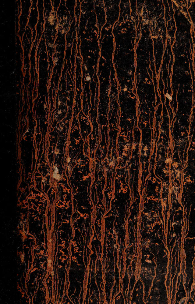 digitised image 1
