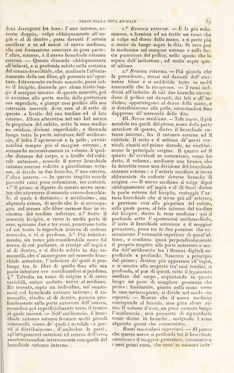 •îoDÎ (livergenli Ira loro i T uno interno, so- vente doppio, volge obbiiquaraente all’in- giù e al di dentro, passa davanti 1’ arteria ascellare e va ad unirsi al nervo mediano, alla cui formazione concorre in gran parte : l’altro, esterno, è il nervo bracchiale cutaneo esterno. — Questo discende obbiiquaraente all’infuori, e si profonda subito nella sostanza del coraco-bracchiale, che, mediante l’allonta- namento delle sue fibre, gli presenta un’aper- tura. Attraversato codesto muscolo, passa sot- to il bicipite, discende per alcun tratto lun- go il margine interno di questo muscolo, poi si avvicina alla parte media della posteriore sua superficie, e giunge così perfino alla sua estremità omerale dove esce al di sotto di questo a livello del suo tendine ed al lato esterno. Allora attraversa nel suo bel mezzo la piegatura del cubito, sotto la vena media- na cefalica, diviene superficiale , e discende lungo tutta la parte anteriore dell’ antibrac- cio, d’infra 1’ aponeurosi e la pelle , avvici- nandosi sempre più al margine esterno , e scemando successivamente in volume. A'qual- che distanza dal carpo, e a livello del cubi- tale anteriore , essendo il nervo bracchiale cutaneo esterno ridotto a piccolissimo volu- me, si divide in due branche, 1’ una esterna, l’altra interna. —In questo tragitto manda parecchi rami poco voluminosi, ma costanti. i.° Il primo si diparte da questo nervo men- tre che attraversa il muscolo coraco-bracchia- le, al quale è destinato : è sottilissimo , ma alquanto esteso, di modo che lo si accompa- gna nel mezzo alle fibre carnose fino in vi- cinanza del tendine inferiore. 2.® Sotto il muscolo bicipite, e verso la media parte di esso, spiccano due o tre rami, penetrano tutto ad un tratto la superficie interna di codesto muscolo, e vi si perdono. 3.'^ Più inferior- mente, un ramo più considerabile nasce dal nervo di cui parliamo, si rivolge all’ingiù e al di dentro, e si divide subito in due ra- moscelli, che s’immergono nel muscolo brac- chiale anteriore, l’inferiore de’quali si pro- lunga tra le fibre di quello fino alla sua parte inferiore ove ramificandosi si perdono. 4.*^ Talvolta un ramo di origine e di corso variabili, unisce codesto nervo al mediano. Ho trovato, sopra un individuo, un’ anasto- mosi col bracchiale cutaneo interno ; il ra- I moscello, rivolto al di dentro, passava pro- ‘ fondamente sulla parte anteriore dell’ omero, recandosi poi superficialmente verso il tronco al quale univasi. — Nell’antibraccio, il brac- chiale cutaneo esterno fornisce molti piccoli ramoscelli, niuno de’ quali è notabile : e que- sti si distribuiscono, d’ambedue le parti, agrinteguraenti anteriori ed esterni (lell’arlo,, anaslornizzandosi internamente con quelli del Branca esterna. — E la più volu- minosa, e fornisce ad un tratto un ramo che si volge sul dorso della mano, e si parte più 0 meno da lunge sopra le dita. Si reca pur la medesima sul margine esterno e sulla fac- cia posteriore del pollice, nello spazio che lo separa dall’indicatore, ed anche sopra que- st’ ultimo. 2.^^ Branca interna. — Più piccola che la precedente, recasi sul davanti dell’emi- nenza ténar e si suddivide tosto in molti ramoscelli che la ricoprono. — 1 rami sud- divisi all’infinito di tali due branche circon- dano il pollice sul davanti,'dai lati e all’in- dietro, appartengono al dorso della mano, e si distribuiscono alla pelle, estendendosi fino dappresso all’estremità delle dita. IH. Nervo mediano. — Tale nervo, il più notabile tra quelli del plesso, nasce dalla parte anteriore di questo, dietro il bracchiale cu- taneo interno, fra il cutaneo esterno ed il cubitale. Il sesto e il settimo de’nervi cer- vicali, riuniti col primo dorsale, ne costitui- scono la principale origine. Il quarto ed il quinto de’cervicali ne aumentano, come ho detto, il volume, mediante una branca che fu descritta come una divisione del bracchiale cutaneo esterno : e l’arteria ascellare si trova abbracciata da codeste diverse branche di origine. — II nervo mediano si volge dipoi obbliquamente all’ingiù e al di fuori dietro la parte esterna del bicipite, costeggia 1’ ar- teria bracchiale che si trova più all’ esterno, e perviene così alla piegatura del cubito, sulla quale passa, al lato interno del lendine del bicipite, dietro la vena mediana : qui si profonda sotto 1’ aponeurosi antibracchiale, d’ infra il bracchiale anteriore e il maggior pronatore, passa tra le due porzioni che co- stituiscono 1’estremità superiore di quest’ul- timo , e continua quasi perpendicolarmente il proprio tragitto alla parte anteriore e me- dia dell’antibraccio tra i flessori digitali su- perficiale e profondo. Nascosto a principio dal primo ; diviene più apparente all’ingiù, e si mostra allo scoperto tra’ suoi tendini, si profonda, al par di questi, sotto il legamento aneliate del carpo , acquistando in questo luogo un poco di maggiore grossezza che prima : finalmente, giunto nella mano verso le ossa melacarpiane, si divide nel modo che esporrò. — Mentre che il nervo mediano corrisponde al braccio, non gii la alcun ra- mo. 11 volume d’esso, un poco scemalo lungo l’antibraccio, non permette di riguardarlo come diviso in branche , malgrado i rami alquanto grossi che somministra. Rami muscolari superiori. — Al punto che questo nervo si profonda tra il bracchiale anteriore e il maggior pronatore, somministra.