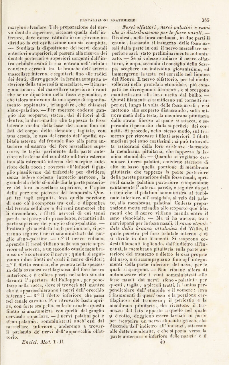 marcine 'Alveolare. Tale preparazione del ner- vo dentale superiore, siccome quella dell’in- feriore, deve essere istituita in un giovane in- dividuo la cui ossificazione non sia compiuta. — Studiata la disposizione dei nervi dentali anteriori e superiori, si passerà alla ricerca dei I dentali posteriori e superiori sorgenti dall’in- fra-orbitale avanti la sua entrata nell’ orbita : conviene cercarli tra le branche dell’ arteria ìiiascellare interna, e seguitarli fino alle radici ilei denti, distruggendo la lamina compatta e- steriore della tuberosità mascellare. — Uiman- gono ancora dei mascellare superiore i rami che se ne dipartono nella fossa zigomatica, e che talora muovono da una specie di rigonfia- mento appianato, triangolare , che chiamasi sfeno-palatino. — Per mettere codesto gan- glio allo scoperto, stacca , dal di fuori al di dentro, la dura-madre che tappezza la fossa laterale media della base del cranio fino sui lati del corpo dello sfenoide ; tagliate, con una cesoia, le ossa del cranio dall’apofisi or- bitale esterna del frontale fino alla parte an- teriore ed esterna del foro mascellare supe- riore, le taglia parimente dalla parte ante- riore ed esterna del condotto uditorio esterno fino alla estremità interna del margine ante- riore della rocca ; rovescia all’ infuori il gan- glio plessiforme dal trifacciale per dividere, senza ledere codesto intreccio nervoso , la grande ala dello sfenoide fra la parte posterio- re del foro mascellare superiore, e 1’ apice della porzione pietrosa del temporale. Que- sti tre tagli eseguiti, leva quella porzione di osso eh’ è compresa tra essi, e disgombra dal tessuto cellulare e dai rami numerosi che li circondano, i filetti nervosi di cui tenui parola nel paragrafo precedente, recantisi alla parte superiore del ganglio sfeno-palatino. —• Praticati gli anzidetli tagli preliminari, si po- tranno seguire i nervi somministrati dal gan- glio sfeno-palatino. — i.® li nervo vidiano, aprendo il canal vidiano nella sua parte supe- riore ed esterna, e un secondo canale membra- noso ov’è contenuto il nervo ; quindi si segui- ranno i due filetti ne’quali il nervo dividesi ; 2,.° il filetto cranico, che penetra nella spessez- za della sostanza cartilaginosa del foro lacero anteriore, e si colloca poscia nel solco situato davanti 1’ apertura del Falloppio , per pene- trare nella rocca, dove si troverà nel mentre che si apparecchieranno i nervi dell’ orecchio iulerno ; — 3.“ 11 filetto inferiore che passa nel canale carotico. Per ritrovarlo basta apri- re, con forte scalpello, codesto canale: questo filetto si anastornizza con quelli del ganglio cervicale superiore. — I nervi palatini poi e sfeno-palatino , somministrati anch’ essi dal mascellare inferiore , onderemo a trovar- ii parlando de’nervi dell’apparecchio olfat- torio. Nervi olfattori ^ nervi palatini e rami che si distribuiscono per le fosse nasali. — Dividesi, nella linea mediana, in due parti il cranio , lasciando il tramezzo delle fosse na- sali ilalla parte in cui il nervo mascellare su- periore sarà stato preliminarmente iiotomiz- zato. — Se si volesse studiare il nervo olfat- torio, è uopo, secondo il consiglio dello Scar- pa, scegliere un individuo giovanissimo, ed immergerne la testa col cervello nel liquore del Monrò. Il nervo olfattorio, per tal modo, sollevasi nella grondaia etmoidale, più com- patti ne divengono i filamenti, e si scorgono manifestissimi alla loro uscita dal bulbo. — Questi filamenti si ramificano sui cornetti su- periori, lungo la volta delle fosse nasali ; e si mettono allo scoperto distaccando , sulla mi- nore metà della testa, la membrana pituitaria dallo strato fibroso al quale si attacca, e se- parando il periostio dalia superficie dei cor- netti. Si procede, nello slesso modo, sul tra- mezzo per ritrovare i filetti esteriori. 1 filetti mediani poi sono cortissimi : si può tuttavol- ta assicurarsi della loro esistenza staccando la membrana pituitaria, che tappezza la la- mina etmoidale. — Quando si vogliano esa- minare i nervi palatini, conviene staccare di alto in basso quella porzione di membrana pituitaria che tappezza la parte posteriore della parete posteriore delle fosse nasali, apri- re il canale palatino posteriore rompendone cautamente l’interna parete, e seguire da poi i rami che il palatino somministra al turbi- nato inferiore, all’amigdala, al velo del pala- to, alla membrana palatina. Codesta prepa- r^ffizione mette eziandio allo scoperrto que’ fila- menti che il nervo viJiano manda entro il seno sfenoidale. — Ma ci ha ancora, tra i nervi sparsi per le fosse nasali, il ramo etmoi- dale della branca ottahnìca del Willis, il quale penetra pel foro orbitale interno e vi si divide in due filamenti. Si scoprono co- desti filamenti togliendo, dall’indietro ali’in- nanzi, la membrana pituitaria sulla parte an- teriore del tramezzo e dietro le ossa proprie del naso, e si accompagnano fino agl’ integu- menti della parte inferiore del naso, per le quali si spargono. Non rimane allora di notomizzare che i rami somministrati alle fosse nasali dai nervi sfeno - palatini : per questi , taglia , a piccoli tratti, la lamina per- pendicolare dell’etmoide e il vomere : leva i frammenti di quest’osso e la porzione car- tilaginosa del tramezzo ; il periostio e la membrana pituitaria , che rivestono il tra- mezzo del lato opposto a quello nel (juale è rotto, deggiono essere lasciati iu posto per iseoprire un nervo alquanlo grosso, che discende dall’indietro all’ innanzi , attaccato alle dette membrane, e che si porta verso la parte anteriore e inferiore delle narici ; è il Encicl. Med. T. JI.