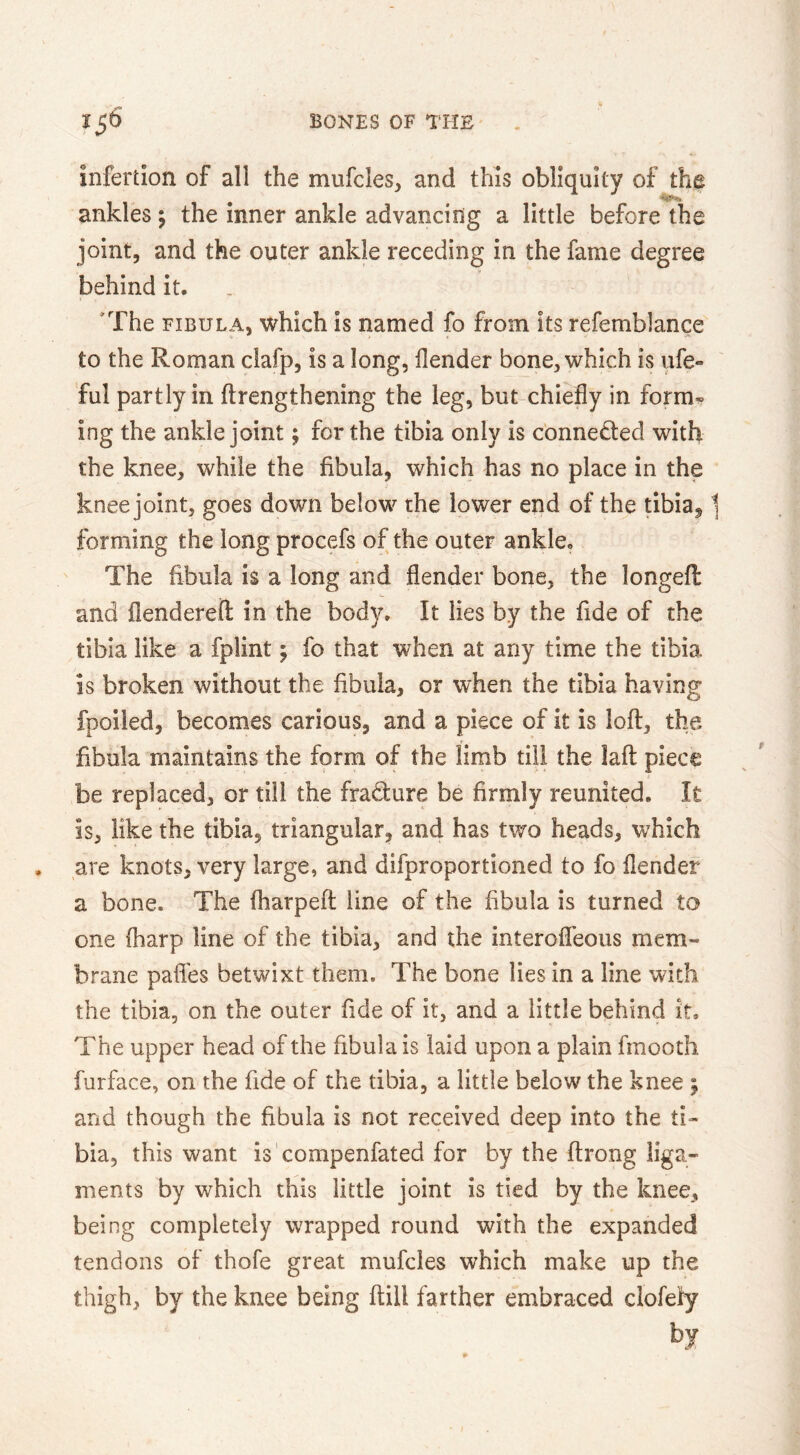 infertlon of all the mufcles, and this obliquity of the ankles j the inner ankle advancing a little before the joint, and the outer ankle receding in the fame degree behind it. 'The FIBULA, which is named fo from its refemblance to the Roman ciafp, is a long, llender bone, which is life- ful partly in ftrengthening the leg, but-chiefly in form? ing the ankle joint; for the tibia only is c’onneded with the knee, while the fibula, which has no place in the knee joint, goes down below the lower end of the tibia^ ] forming the long procefs of the outer ankle. The fibula is a long and Sender bone, the longed and SendereS: in the body. It lies by the fide of the tibia like a fplint j fo that when at any time the tibia is broken without the fibula, or when the tibia having fpoiled, becomes carious, and a piece of it is loft, the fibula maintains the form of the limb till the laft piece be replaced, or till the fradture be firmly reunited. It is, like the tibia, triangular, and has two heads, which are knots, very large, and difproportioned to fo Sender a bone. The fharpeft line of the fibula is turned to one Siarp line of the tibia, and the interoSeous mem- brane paSes betwixt them. The bone lies in a line with the tibia, on the outer fide of it, and a little behind it. The upper head of the fibula is laid upon a plain fmootli furface, on the fide of the tibia, a little below the knee 5 and though the fibula is not received deep into the ti- bia, this want is'compenfated for by the Srong liga- ments by which this little joint is tied by the knee, being completely wrapped round with the expanded tendons of thofe great mufcles which make up the thigh, by the knee being ftill farther embraced clofeiy by