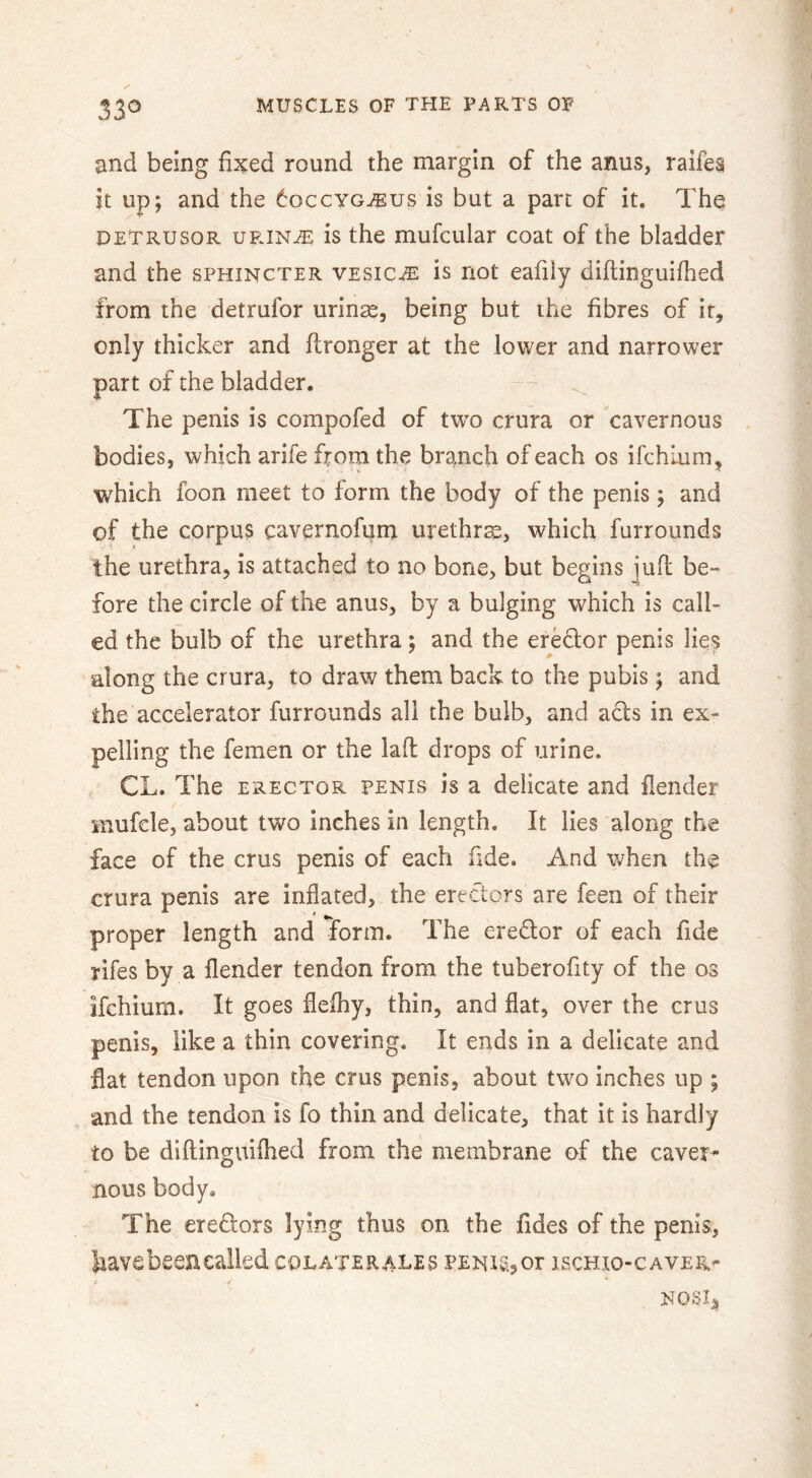 and being fixed round the margin of the anus, raifea it up; and the 6occyg^us is but a part of it. The DETRUSOR upjN-^ is the mufcular coat of the bladder and the sphincter vesica is not eafiiy diftinguifhed from the detrufor urinse, being but the fibres of it, only thicker and flronger at the lower and narrower part of the bladder. The penis is compofed of tw’o crura or cavernous bodies, which arife from the branch of each os ifchium, which foon meet to form the body of the penis; and of the corpus cavernofi|m urethra, which furrounds the urethra, is attached to no bone, but begins juft be- fore the circle of the anus, by a bulging which is call- ed the bulb of the urethra; and the eredor penis lies along the crura, to draw them back to the pubis; and the accelerator furrounds all the bulb, and acts in ex- pelling the femen or the lafl drops of urine. CL. The ERECTOR penis is a delicate and flender mufele, about two inches in length. It lies along the face of the crus penis of each fide. And v/hen the crura penis are inflated, the erectors are feen of their proper length and Ifonn. The ereflor of each fide rifes by a flender tendon from the tuberofity of the os ifchium. It goes flefhy, thin, and flat, over the crus penis, like a thin covering. It ends in a delicate and flat tendon upon the crus penis, about tw^o inches up ; and the tendon is fo thin and delicate, that it is hardly to be diftinguifhed from the membrane of the caver- nous body. The ereftors lying thus on the fldes of the penis, have been called colaterales PENiSjor ischio-caver- •r NOSIj,