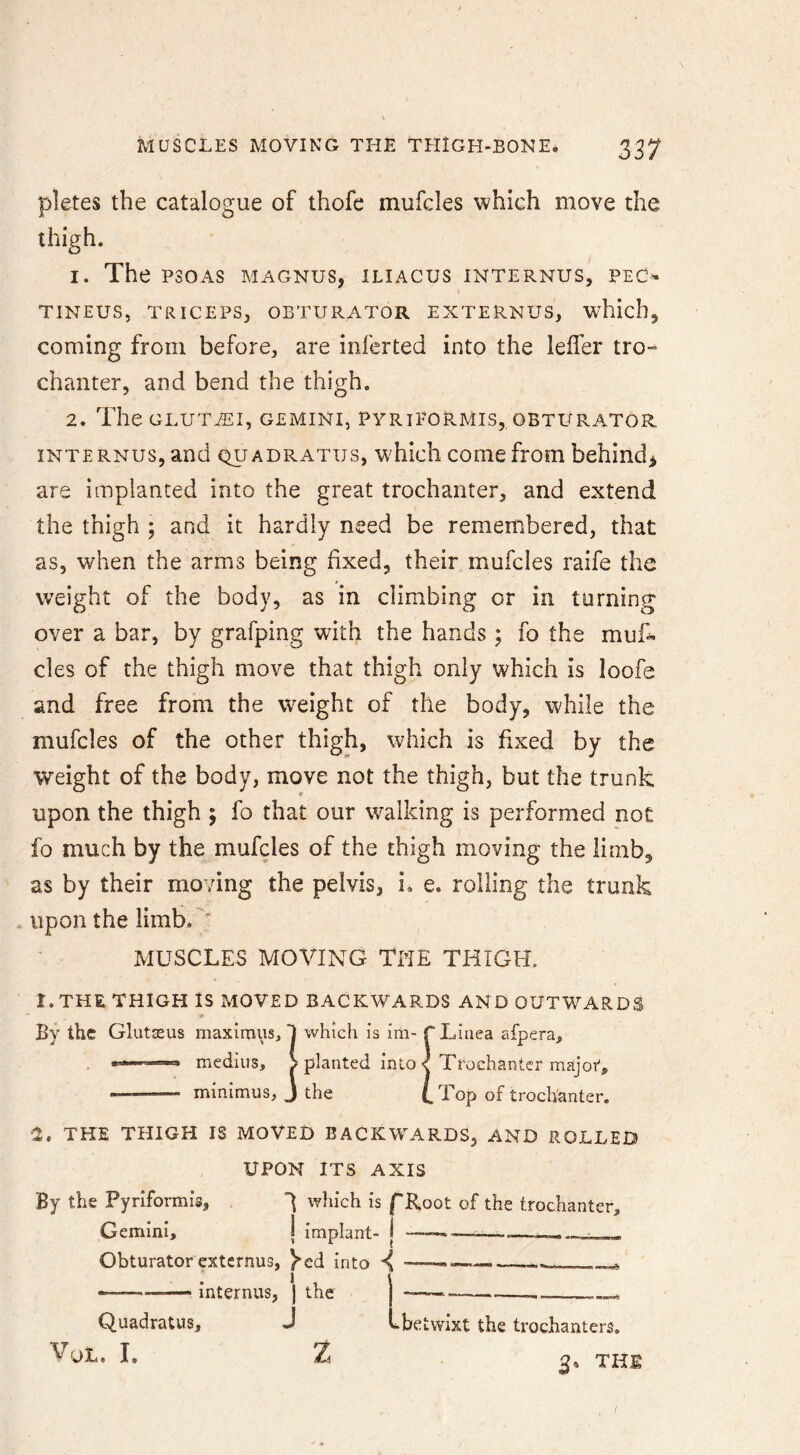 pletes the catalogue of thofe mufcles which move the thigh. 1. The PSOAS MAGNUS, ILIACUS INTERNUS, PEC^ TINEUS, TRICEPSj OBTURATOR EXTERNUS, which, coming from before, are inferted into the leifer tro- chanter, and bend the thigh. 2. The GLUTEI, GEMINI, PYRIFORMIS,, OBTEf RATOR iNTE RNUS, and quadratus, which come from behind^ are implanted into the great trochanter, and extend the thigh ; and it hardly need be remembered, that as, when the arms being fixed, their mufcles raife the weight of the body, as in climbing or in turning over a bar, by grafping with the hands; fo the muf« cles of the thigh move that thigh only which is loofe and free from the weight of the body, while the mufcles of the other thigh, which is fixed by the weight of the body, move not the thigh, but the trunk upon the thigh ; fo that our walking is performed not fo much by the mufcles of the thigh moving the limb, as by their moving the pelvis, i, e. rolling the trunk upon the limb.'' MUSCLES MOVING THE THIGH. l.THE THIGH IS MOVED BACKWARDS AND OUTWARDS By the Glutasus maxim\is, 1 which is im- f Liuea afpera, _ medius, S planted into < Trochanter major, minimus, J the (.Top of trochanter, ■2. THE THIGH IS MOVED BACKWARDS, AND ROLLED UPON ITS AXIS By the Pyriformis, which is /Root of the trochanter, Gemini, j implant- | —— ■ . - Obturatorexternus, ^ed into ^ — — interniis, j the j Quadratus, J Lbe twixt the trochanters. VjL. I. 3* THI I