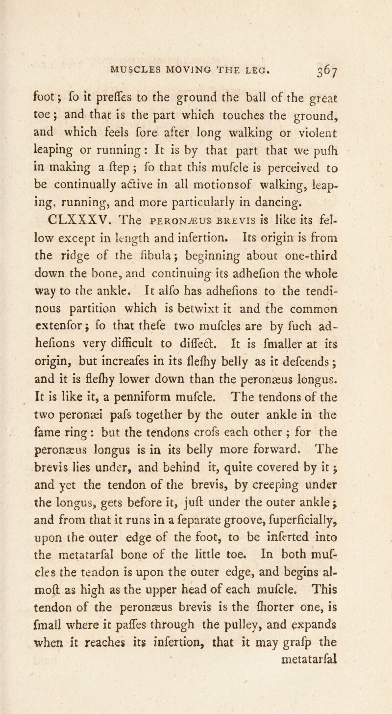 I MUSCLES MOVING THE LEG. 367 foot; fo it prefles to the ground the ball of the great toe; and that is the part which touches the ground, and which feels fore after long walking or violent leaping or running: It is by that part that we pufh in making a ftep ; fo that this mufcle is perceived to be continually adive in all motionsof walking, leap- ing, running, and more particularly in dancing. CLXXXV. The peron^us brevis is like its fel- low except in length and infertion. Its origin is from the ridge of the fibula; beginning about one-third down the bone, and continuing its adhefion the whole way to the ankle. It alfo has adhefions to the tendi- nous partition which is betwixt it and the common extenfor; fo that thefe two mufcles are by fuch ad- hefions very difficult to difled. It is fmalier at its origin, but increafes in its fleffiy belly as it defeends i and it is fleffiy lower down than the peronseus longus. It is like it, a penniform mufcle. The tendons of the two peron^i pafs together by the outer ankle in the fame ring; but the tendons crofs each other; for the peronaeus longus is in its belly more forward. The brevis lies under, and behind it, quite covered by it; and yet the tendon of the brevis, by creeping under the longus, gets before it, juft under the outer ankle; and from that it runs in a feparate groove, fuperficially, upon the outer edge of the foot, to be inferted into the metatarfal bone of the little toe. In both muf- cles the tendon is upon the outer edge, and begins al- moft as high as the upper head of each mufcle. This tendon of the peronmus brevis is the ftiorter one, is fmall where it paffes through the pulley, and expands when it reaches its infertion, that it may grafp the metatarfal