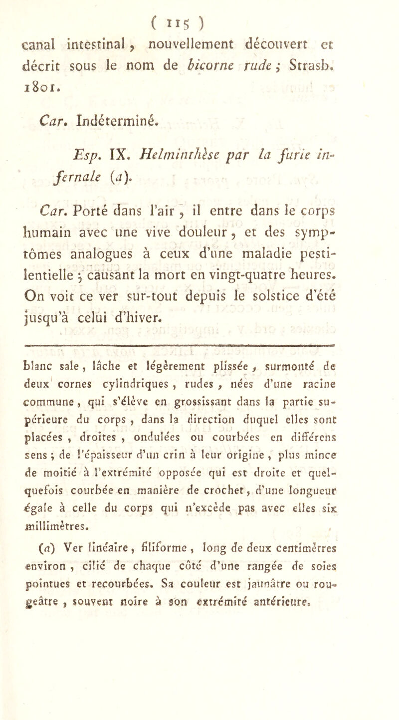 canal intestinal, nouvellement découvert et décrit sous le nom de bicorne rude ; Strasb. i8oi. Car* Indéterminé. Esp, IX. Helniinthhe par la furie in- fernale (j). Car. Porté dans Fair, il entre dans le corps humain avec une vive douleur 5 et des symp- tômes analogues à ceux d’une maladie pesti- lentielle ^ causant la mort en vingt-quatre heures. On voit ce ver sur-tout depuis le solstice d’été jusqu’à celui d’hiver. blanc sale, lâche et légèrement pli'ssée ^ surmonté de deux cornes cylindriques , rudes , nées d’une racine commune , qui s’élève en grossissant dans la partie su- périeure du corps , dans la direction duquel elles sont placées , droites , ondulées ou courbées en différens sens ; de l’épaisseur d’un crin à leur origine , plus mince de moitié à l’extrémité opposée qui est droite et quel- quefois courbée en manière de crochet, d’une longueur égale à celle du corps qui n’excède pas avec elles six millimètres. (n) Ver linéaire, filiforme, long de deux centimètres environ , cilié de chaque côté d’une rangée de soies pointues et recourbées. Sa couleur est jaunâtre ou rou- geâtre , souvent noire à son extrémité antérieure.