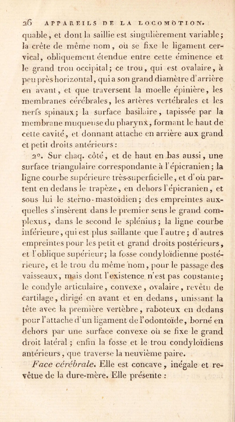 Cjuable, et dont la saillie est singnlièrement variable; îa crête de même nom , où se fixe le ligament cer- vical, obliquement étendue entre cette éminence et îe grand trou occipital; ce trou, qui est ovalaire, à peu près horizontal, quia son grand diamètre d’arrière en avant, et que traversent la moelle épinière, les membranes cérébrales, les artères vertébrales et les nerfs spinaux; la surface basilaire, tapissée par la membrane muqueuse du pharynx, formant le haut de cette cavité, et donnant attache en arrière aux grand et petit droits antérieurs : 2^, Sur chaq. côté, et de haut en bas aussi, une surface triangulaiie correspondante à l’épicranien; la ligne courbe supérieure très-superficielle, et d’oü par- tent en dedans le trapèze, en dehors l’épicranien, et sous lui le sterno-mastoïdien ; des empreintes aux- quelles s’insèrent dans le premier sens le grand com- plexus, dans le second le splénius; la ligne courbe inférieure, qui est plus saillante que l’autre; d’autres empreintes pour les petit et grand droits postérieurs, et l’oblique supérieur; la fosse condyloïdienne posté- rieure, et le trou du même nom, pour le passage des vaisseaux, mais dont l’existence n’est pas constante; le condyle articulaire, convexe, ovalaire, revêtu de cartilage, dirigé en avant et en dedans, unissant la tête avec la première vertèbre, raboteux en dedans pour l’attache d’un ligament de Fodontoïde, borné en dehors par une surface convexe où se fixe le grand droit latéral ; enfin la fosse et le trou condyloïdiens antérieurs, que traverse la neuvième paire. Face cérébrale. Elle est concave, inégale et re- vêtue de la dure-mère. Elle présente :