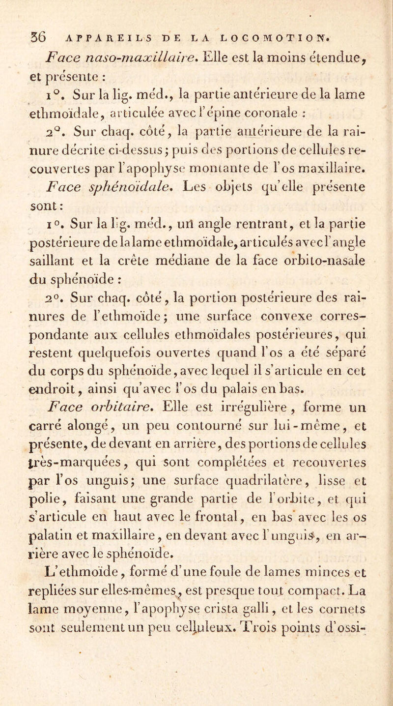 Face naso-maxillaire» Elle est la moins ëtendue, et présente : I Sur la lig. mëd., la partie anterieure de la lame ethmo'idale, articulée avec l’épine coronale : 2*^. Sur chaq. côté, la partie antérieure de la rai- nure décrite ci-dessus ; puis des portions de cellules re- couvertes par l’apophyse montante de l’os maxillaire. Face sphénoidale. Les objets qu’elle présente sont : i®. Sur la lig. méd., url angle rentrant, et la partie postérieure de la lame ethmoïdale, articulés avec F angle saillant et la crête médiane de la face orbilo-nasale du sphénoïde : 2®. Sur chaq. côté, la portion postérieure des rai- nures de Fethmoïde ; une surface convexe corres- pondante aux cellules ethmoïdales postérieures, qui restent quelquefois ouvertes cpiand F os a été séparé du corps du sphénoïde, avec lequel il s’articule en cet endroit, ainsi qu’avec Fos du palais en bas. Face orbitaire* Elle est irrégulière , forme un carré alongé, un peu contourné sur lui-même, et présente, de devant en arrière, des portions de cellules très-marquées, qui sont complétées et recouvertes par l’os unguis; une surface quadrilatère, lisse et polie, faisant une grande partie de Forbile, et qui s’articule en haut avec le frontal, en bas avec les os palatin et maxillaire, en devant avec F unguia, en ar- rière avec le sphénoïde. L’ethmoïde, formé d’une foule de lames minces et repliées sur elles-mêmes^^ est presque tout compact. La lame moyenne, l’apophyse crista galli, et les cornets sont seulement un peu celjuleux. Trois points d’ossi-