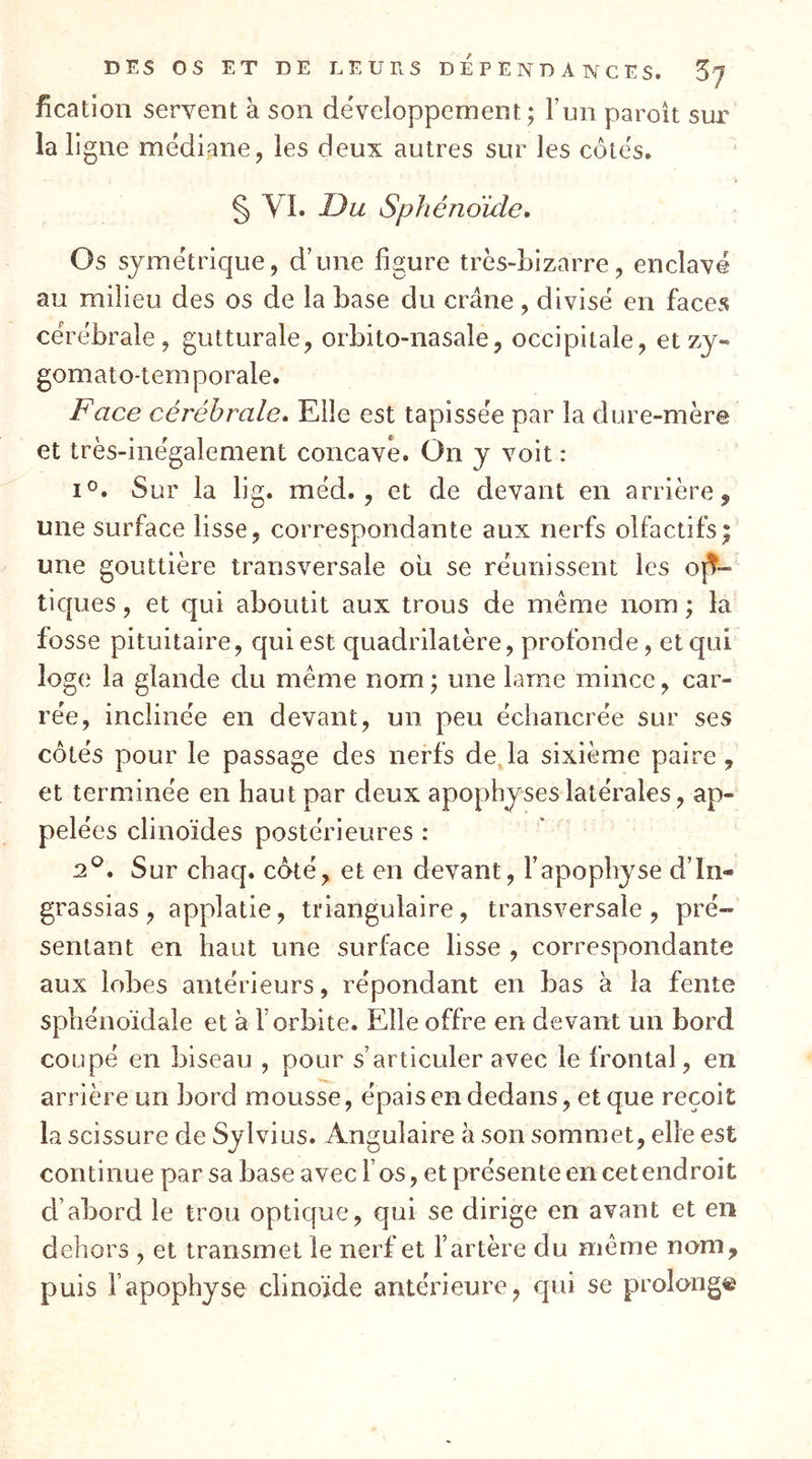 fîcatioii servent à son développement; Tun paroit sur la ligne médiane, les deux autres sur les côtés. § VI. Du Sphénoïde, Os symétrique, d’une figure très-bizarre, enclavé au milieu des os de la base du crâne, divisé en faces cérébrale, gutturale, orbito-nasale, occipitale, et zy- gomato-tem porale. Face cérébrale. Elle est tapissée par la dure-mère et très-inégalement concave. On y voit : I®. Sur la lig. méd. , et de devant en arrière ^ une surface lisse, correspondante aux nerfs olfactifs; une gouttière transversale ou se réunissent les ojf- tiques, et qui aboutit aux trous de même nom ; la fosse pituitaire, qui est quadrilatère, profonde, et qui loge la glande du même nom ; une lame mince, car- rée, inclinée en devant, un peu échancrée sur ses côtés pour le passage des nerfs déjà sixième paire , et terminée en haut par deux apophyses latérales, ap- pelées clinoïdes postérieures : 2^. Sur chaq. côté, et en devant, l’apophyse d’In- grassias, applatie, triangulaire, transversale, pré- sentant en haut une surface lisse , correspondante aux lobes antérieurs, répondant en bas à la fente sphénoïdale et à l’orbite. Elle offre en devant un bord coupé en biseau , pour s’articuler avec le frontal, en arrière un bord mousse, épais en dedans, et que reçoit la scissure de Sylvius. Angulaire à son sommet, elle est continue par sa base avec l’os, et présente en cet endroit d’abord le trou optique, qui se dirige en avant et en dehors , et transmet le nerf et l’artère du même nom, puis l’apophyse clinoïde antérieure, qui se prolong®