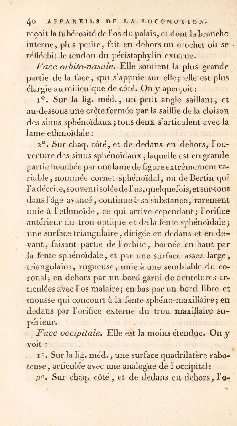 reçoit la tubérosité de T os du palais, et dont la branche interne, plus petite, fait en dehors un crochet oii se réfléchit le tendon du péristaphylin externe. Face orhito-nasale* Elle soutient la plus grande partie de la face, qui s’appuie sur ellej elle est plus élargie au milieu que de côté. On y aperçoit: Sur la lig. méd., un petit angle saillant, et au-dessous une crête formée par la saillie de la cloison des sinus sphénoïdaux; tous deux s’articulent avec la lame elhmoïdale ; 2®. Sur chaq. côté, et de dedans en dehors, l’ou- verture des sinus sphénoïdaux, laquelle est en grande partie bouchée par une lame de figure extrêmement va- riable , nommée cornet sphénoïdal, ou de Bertin qui l’adécrite, souvent isolée de l’os, quelquefois, et sur-toufe dansFage avancé, continue à sa substance, rarement unie à Fethmoïde, ce qui arrive cependant; l’orifice antérieur du trou optique et de la fente sphénoïdale ; une surface triangulaire, dirigée en dedans et en de- vant, faisant partie de F orbite, bornée en haut par la fente sphénoïdale, et par une surface assez large, triangulaire , rugueuse, unie à une semblable du co- ronal; en dehors par un bord garni de dentelures ar- ticulées avec l’os malaire; en bas par un bord libre et mousse qui concourt à la fente sphéno-maxillaire; en dedans par l’orifice externe du trou maxillaire su- périeur. Face occipitale* Elle est la moins étendue. On y voit : . lo. Sur la lig. méd., une surface quadrilatère rabo- teuse , articulée avec une analogue de l’occipital: 2^’. Sur chaq. côté, et de dedans en dehors, Fo-