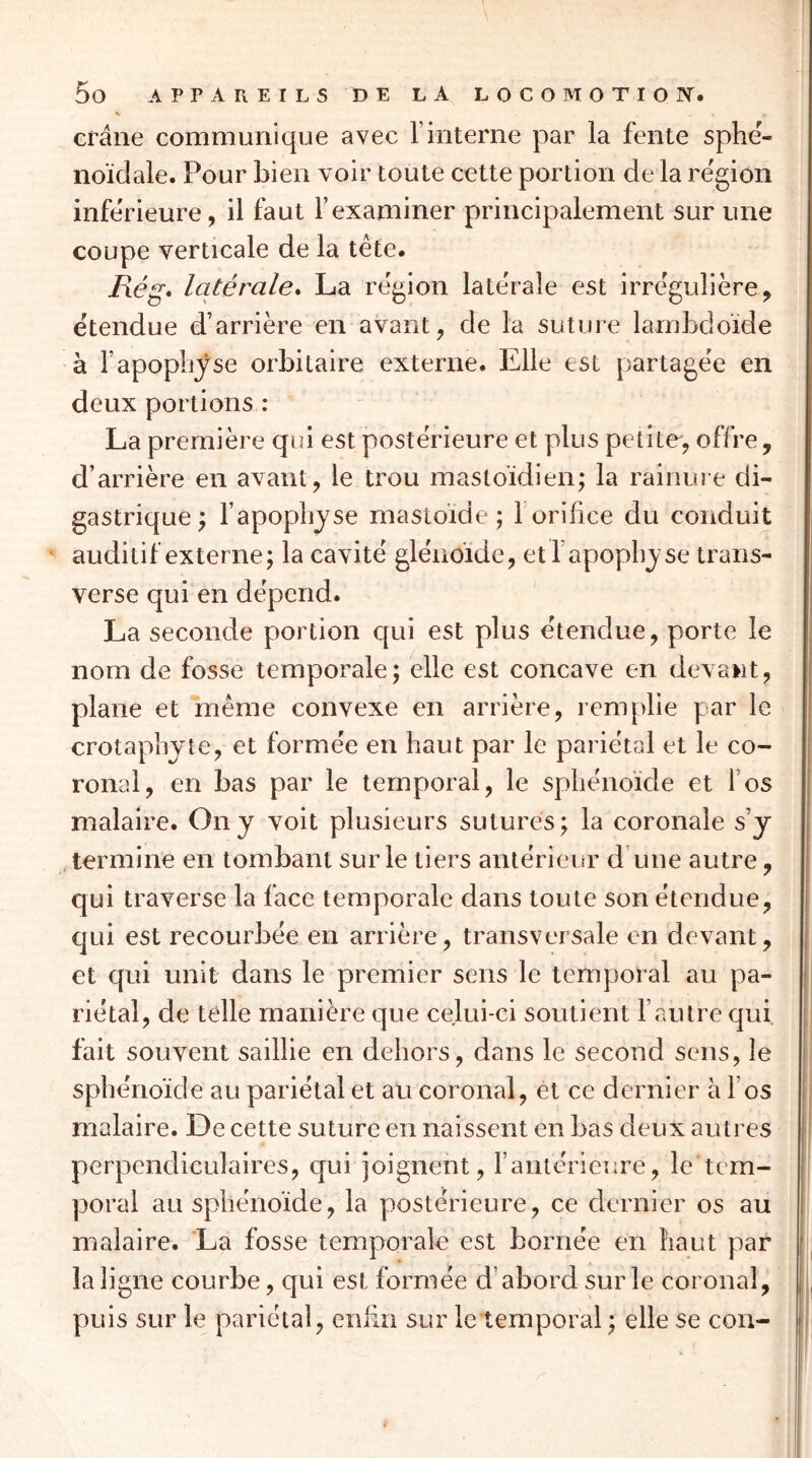 <v crâne communique avec l’interne par la fente sphé- noïdeile. Pour bien voir toute cette portion de la région inférieure, il faut l’examiner principalement sur une coupe verticale de la tête. Rég. latérale* La région latérale est irrégulière, étendue d’arrière en avant, de la suture lambdo'ide à l’apoplijse orbitaire externe. Elle est partagée en deux portions : La première qoi est postérieure et plus petite, offre, d’arrière en avant, le trou mastoïdien; la rainuie di- gastrique; fapoplijse mastoïde ; 1 orifice du conduit ^ auditif externe; la cavité glénoïde, et l’apopbj se trans- verse qui en dépend. La seconde portion qui est plus étendue, porte le nom de fosse temporale; elle est concave en devant, plane et même convexe en arrière, remplie par le crotaphyte, et formée en haut par le pariétal et le co~ ronal, en bas par le temporal, le sphénoïde et l’os malaire. On y voit plusieurs sutures; la coronale s’y . termine en tombant sur le tiers antérieur d’une autre, qui traverse la face temporale dans toute son étendue, qui est recourbée en arrière, transversale en devant, et qui unit dans le premier sens le temporal au pa- riétal, de telle manière que celui-ci soutient l’autre qui fait souvent saillie en dehors, dans le second sens, le sphénoïde au pariétal et au coronal, et ce dernier à l’os malaire. De cette suture en naissent en bas deux autres perpendiculaires, qui joignent, fantérieure, le tem- poral au sphénoïde, la postérieure, ce dernier os au malaire. La fosse temporale est bornée en haut par la ligne courbe, qui est formée d’abord sur le coronal, puis sur le pariétal, enbn sur le temporal ; elle se con-