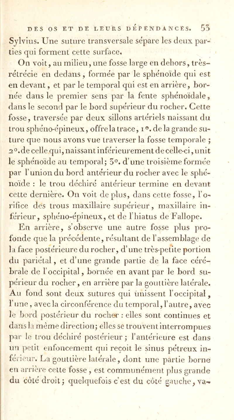 Sjlvius. Une sutiare transversale séparé les deux par- ties qui forment cette surface. On voit, au milieu, une fosse large en dehors, très- rétrëcie en dedans, formée par le sphénoïde qui est en devant, et par le temporal qui est en arrière, bor- née dans le premier sens par la fente sphénoïdale, dans le second par le bord supérieur du rocher. Cette fosse, traversée par deux sillons artériels naissant du trou sphéno-épineux, offre la trace, delà grande su- ture que nous avons vue traverser la fosse temporale ; 2 ^.de celle qui, naissant inférieurement de celle-ci, unit le sphénoïde au temporal; 5°. d’une troisième formée par l’union du bord antérieur du rocher avec le sphé- noïde : le trou déchiré antérieur termine en devant cette dernière. On voit de plus, dans cette fosse, l’o- rifice des trous maxillaire supérieur, maxillaire in- férieur, sphéno-épineux, et de 1 hiatus de Fallope. En arrière, s’observe une autre fosse plus pro- fonde que la précédente, résultant de l’assemblage de la face postérieure du rocher, d’une très-petite portion du pariétal, et d’une grande partie de la face céré- brale de l’occipital, bornée en avant par le bord su- périeur du rocher, en arrière par la gouttière latérale. Au fond sont deux sutures qui ùnissent l’occipital, F une, avec la circonférence du temporal, l’autre, avec le bord postérieur du rocher : elles sont continues et dans la meme direction; elles se trouvent interrompues par le trou déchiré postérieur ; l’antérieure est dans un petit enfoncement qui reçoit le sinus pétreux in- férieur. La gouttière latérale, dont une partie borne en arrière cette fosse , est communément plus grande du côté droit; quelquefois c’est du côté gauche, va-»