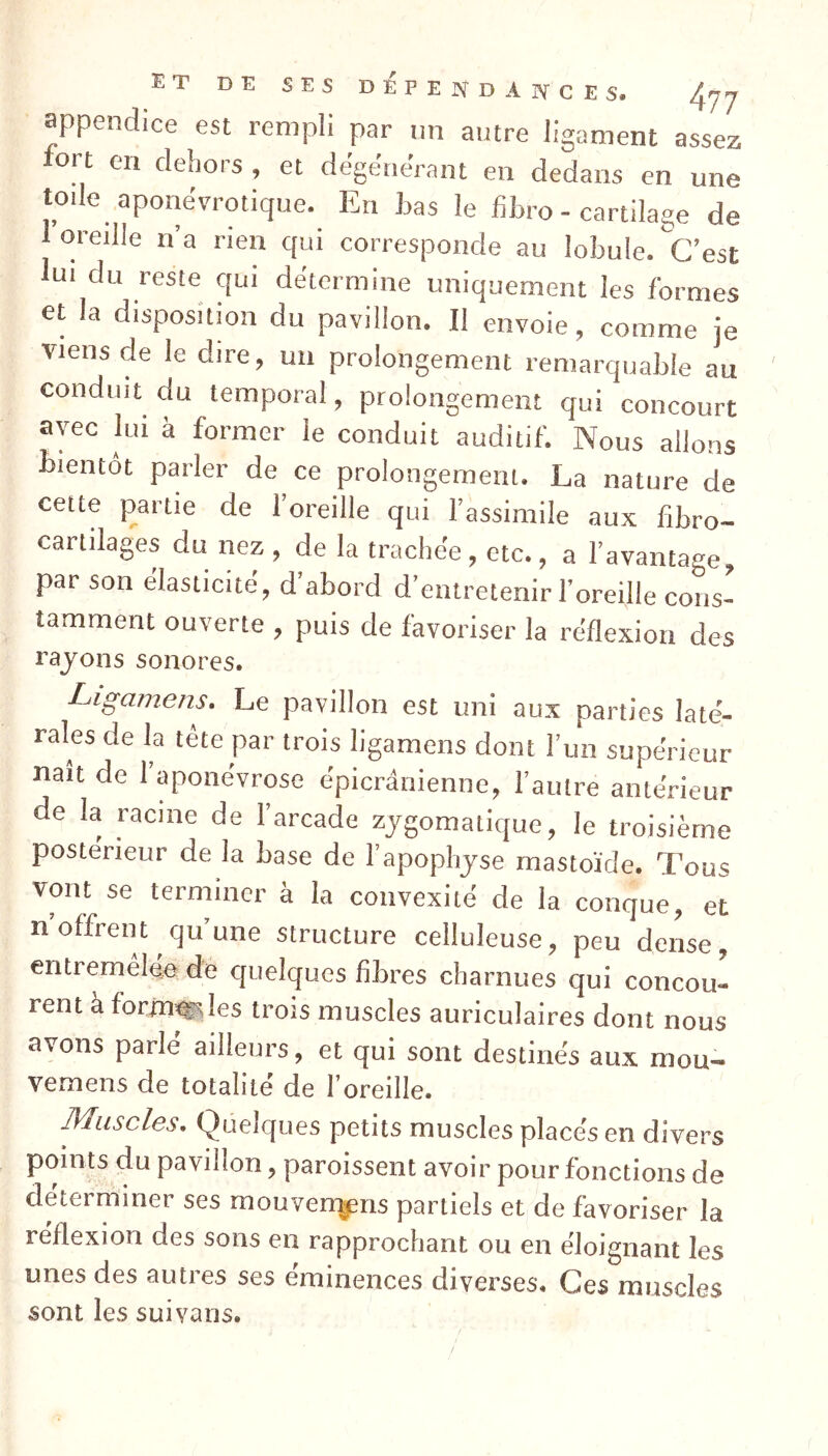 appendice est rempli par nn autre ligament assez ort en dehors , et dégénérant en dedans en une lotie aponévrotique. En bas le fibro - cartilage de 1 oreille n’a rien qui corresponde au lobule, c’est lut du reste qui détermine uniquement les formes et la disposition du pavillon. Il envoie, comme je viens de le dire, un prolongement remarquable au conduit du temporal, prolongement qui concourt avec lui a former le conduit auditif. Nous allons bientôt parler de ce prolongement. La nature de cette partie de 1 oreille qui l’assimile aux fibro- cartilages du nez , de la trachée, etc., a l’avantage, par son élasticité, d’abord d’entretenir l’oreille cons- tamment ouverte , puis de favoriser la réflexion des rayons sonores. Ligcimens. Le pavillon est uni aux parties laté- rales de la tète par trois ligamens dont l’un supérieur naît de 1 aponévrose épicrânienne, l’autre antérieur de la racine de l’arcade zygomaLique, le troisième postérieur de la base de l’apophyse mastoïde. Tous vont se terminer à la convexité de la conque, et n’offrent quune structure celluleuse, peu dense, entremêlée de quelques fibres charnues qui concou- rent à formules trois muscles auriculaires dont nous avons parlé ailleurs, et qui sont destinés aux mou- vemens de totalité de l’oreille. Muscles. Quelques petits muscles placés en divers points du pavillon, paroissent avoir pour fonctions de déterminer ses mouvem-ens partiels et de favoriser la reflexion des sons en rapprochant ou en éloignant les unes des autres ses éminences diverses. Ces muscles sont les suivans.