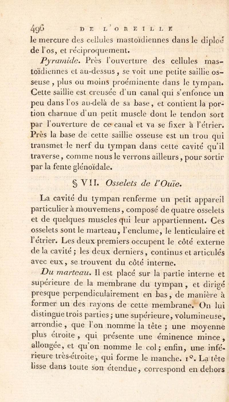 49& B E L OÎlEÎLLE le mercure des cellules mastoïdiennes dans le diploe de F os, et réciproquement. Pyramide, Près l’ouverture des cellules mas- toïdiennes et au-dessus , se voit une petite saillie os- seuse , plus ou moins proéminente dans le tympan. Cette saillie est creusée d’un canal qui s’enfonce un peu dans l’os au-delà de sa base, et contient la por- tion charnue d’un petit muscle dont le tendon sort par l’ouverture de ce canal et va se fixer à l’étrier. Près la base de cette saillie osseuse est un trou qui transmet le nerf du tympan dans cette cavité qu’il traverse, comme nous le verrons ailleurs, pour sortir par la fente glénoïdale. § YII. Osselets de l'Ouïe. La cavité du tympan renferme un petit appareil particulier à mouvemens, composé de quatre osselets et de quelques muscles qui leur appartiennent. Ces osselets sont le marteau, l’enclume, le lenticulaire et l’étrier. Les deux premiers occupent le côté externe de la cavité ; les deux derniers, continus et articulés avec eux, se trouvent du côté interne. Du marteau. Il est placé sur la partie interne et supérieure de la membrane du tympan , et dirigé presque perpendiculairement en bas, de manière à former un des rayons de cette membrane. On lui distingue trois parties ; une supérieure, volumineuse, arrondie , que 1 on nomme la tête $ une moyenne plus étroite , qui présente une éminence mince , allongée, et qu on nomme le col j enfin, une infé- rieure très-étroite, qui forme le manche. i°. La tête lisse dans toute son étendue, correspond en dehors