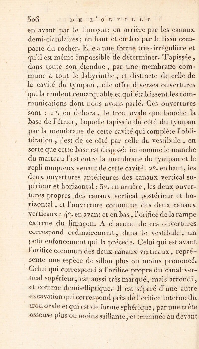 en avant par le limaçon; en arrière par les canaux demi-circulaires; en haut et en bas par le tissu com- pacte du rocher. Elle a une forme très-irrégulière et qu’il est même impossible de déterminer. Tapissée , dans toute son étendue , par une membrane com- mune à tout le labyrinthe, et distincte de celle de la cavité du tympan , elle offre diverses ouvertures qui la rendent remarquable et qui établissent les com- munications dont nous avons parlé. Ces ouvertures sont : i°. en dehors , le trou ovale que bouche la base de rétrier, laquelle tapissée du côté du tympan par la membrane de cette cavité qui complète F obli- tération , l’est de ce côté par celle du vestibule , en sorte que cette base est disposée ici comme le manche du marteau l’est entre la membrane du tympan et le repli muqueux venant de cette cavité: 2°. en haut, les deux ouvertures antérieures des canaux vertical su- périeur et horizontal : 3°. en arrière , les deux ouver- tures propres des canaux vertical postérieur et ho- rizontal , et l’ouverture commune des deux canaux verticaux : 4°» en avant et en bas, l’orifice de la rampe externe du limaçon. A chacune de ces ouvertures . O' correspond ordinairement, dans le vestibule , un petit enfoncement qui la précède. Celui qui est avant 1 orifice commun des deux canaux verticaux, repré- sente une espèce de sillon plus ou moins prononcé. Celui qui correspond à l’orifice propre du canal ver- tical supérieur, est aussi très-marqué, mais arrondi, et comme demi-elliptique. 11 est séparé d’une autre * * * * excavation qui correspond près de l’orifice interne du trou ovale et qui est de forme sphérique, par une crête osseuse plus ou moins saillante, et terminée au devant