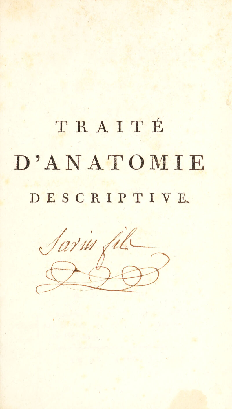 TRAITÉ D’ANATOMIE DESCRIPTIVE. /