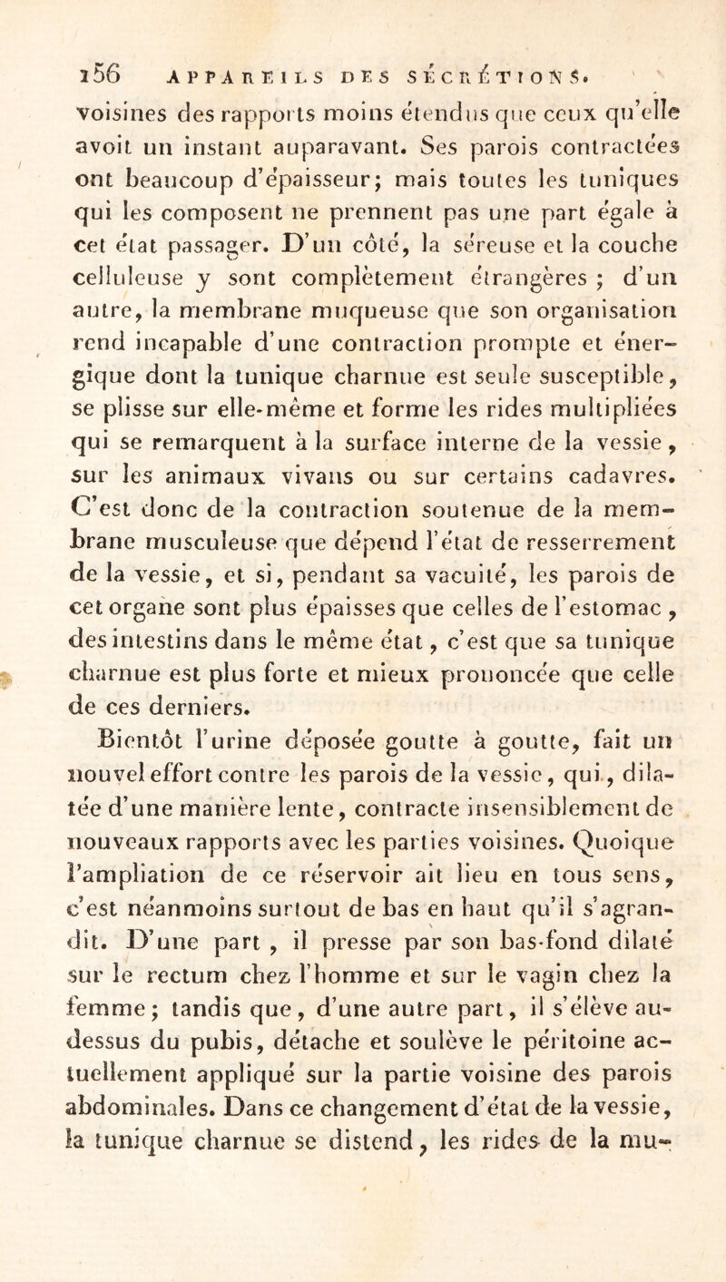 voisines des rapports moins ëlendns que ceux qu’elle avoit un instant auparavant. Ses parois contractées ont beaucoup d’e’paisseur; mais toutes les tuniques qui les composent ne prennent pas une part égale à cet état passager. D’un côté, la séreuse et la couche celluleuse y sont complètement étrangères ; d’un autre, la membrane muqueuse que son organisation rend incapable d’une contraction prompte et éner- gique dont la tunique charnue est seule susceptible, se plisse sur elle*méme et forme les rides multipliées qui se remarquent à la surface interne de la vessie, sur les animaux vivans ou sur certains cadavres. C’est donc de la contraction soutenue de la mem- brane musculeuse que dépend l’état de resserrement de la vessie, et si, pendant sa vacuité, les parois de cet organe sont plus épaisses que celles de l’estomac , des intestins dans le même état, c’est que sa tunique charnue est plus forte et mieux prononcée que celle de ces derniers. Bientôt l’urine déposée goutte à goutte, fait un nouvel effort contre les parois de la vessie, qui., dila- tée d’une manière lente, contracte insensiblement de nouveaux rapports avec les parties voisines. Quoique l’ampliation de ce réservoir ait lieu en tous sens, c’est néanmoins surtout de bas en haut qu’il s’agran- dit. D’une part , il presse par son basdônd dilaté sur le rectum chez l’homme et sur le vagin chez la femme; tandis que, d’une autre part, il s’élève au- dessus du pubis, détache et soulève le péritoine ac- tuellement appliqué sur la partie voisine des parois abdominales. Dans ce changement d’état de la vessie, la tunique charnue se distend, les rides de la mu-