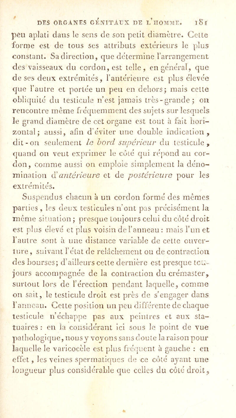 peu aplati dans le sens de son petit diamètre. Cette forme est de tous ses attributs exteVieurs le plus constant. Sa direction, que détermine rarrangement des vaisseaux du cordon, est telle, en général, que de ses deux extrémités, Fantérieure est plus élevée que Fautre et portée un peu en dehors; mais cette obliquité du testicule n’est jamais très-grande; ou rencontre même fréc[uemnient des sujets sur lesquels le grand diamètre de cet organe est tout à fait hori- zontal ; aussi, afin d’éviter une double indication, dit-on seulement le bord supérieur du testicule , quand on vent exprimer le cûié qui répond au cor- don, comme aussi on emploie simplement la déno- mination a antérieure et de postérieure pour les extrémités. Suspendus chacun à un cordon formé des mêmes parties , les deux testicules n ont pas précisément la même situation ; presque toujours celui du côté droit est plus élevé et plus voisin de l’anneau : mais Fun et Fautre sont à une distance variable de cette ouver- ture , suivant Féiat de relâchement ou de contraction des bourses; d’ailleurs cette dernière est presque ic-u~ jours accompagnée de la contraction du créinaster, surtout lors de l’érection pendant laquelle, comme on sait, le testicule droit est près de s’engager dans ranneau. Cette position un peu différente de chaque îesiicule n’écliappe pas aux peintres et aux sta- tuaires : en la considérant ici sous le point de vue pathologique, nousy voyons sans doute la raison pour laquelle le varicocèle est plus fréquent à gauche : en effet, les veines spermatiques de ce côté ayant une longueur plus considérable que celles du côté droit,