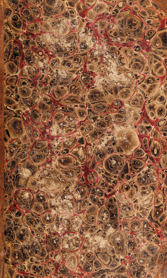 No text description is available for this image