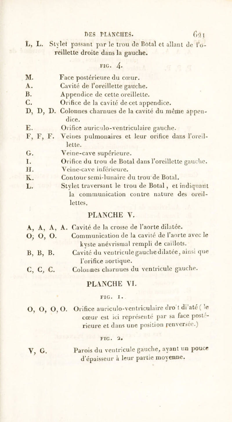 r>Es blanches. (>âi L, L. Stylet passant par le trou de Botal et allant de l’o- reillette droite dans la gauche. fig. 4* M. A. B. C. D. D, D. E. F. F, F. G. I. H. K. L. Face postérieure du cœur. Cavité de l’oreillette gauche. Appendice de cette oreillette. Orifice de la cavité de cet appendice. Colonnes charnues de la cavité du même appen- dice. Orifice auriculo-ventriculaire gauche. Veines pulmonaires et leur orifice dans l’oreil- lette. Veine-cave supérieure. Orifice du trou de Botal dans l’oreillette gauche. Veine-cave inférieure. Contour semi-lunaire du trou de Botal. Stylet traversant le trou de Botal, et indiquant la communication contre nature des oreil- lettes. PLANCHE V. A, A, A, A. Cavité de la crosse de l’aorte dilatée. O- O, O. Communication de la cavité de l’aorte avec le kyste anévrismal rempli de caillots. B, B, B. Cavité du ventricule gauche dilatée, ainsi que l’orifice aortique. C, C, C. Colonnes charnues du ventricule gauche. PLANCHE VL FIG. I. O, O, O, O. Orifice auriculo-ventriculaire dro ! di até ( cœur est ici représenté par sa face posté- rieure et dans une position renversée.) FIG. 2. v, G. Parois du ventricule gauche, ayant un pouce d’épaisseur à leur partie moyenne.